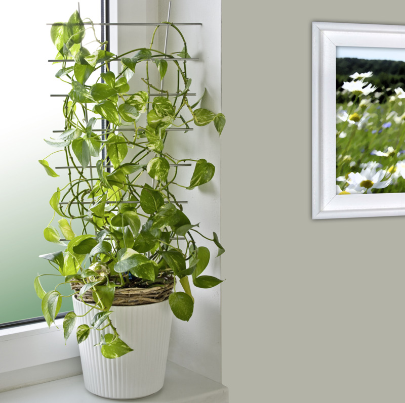 Windhager Blumenstütze, 34 x 77 cm, silber 