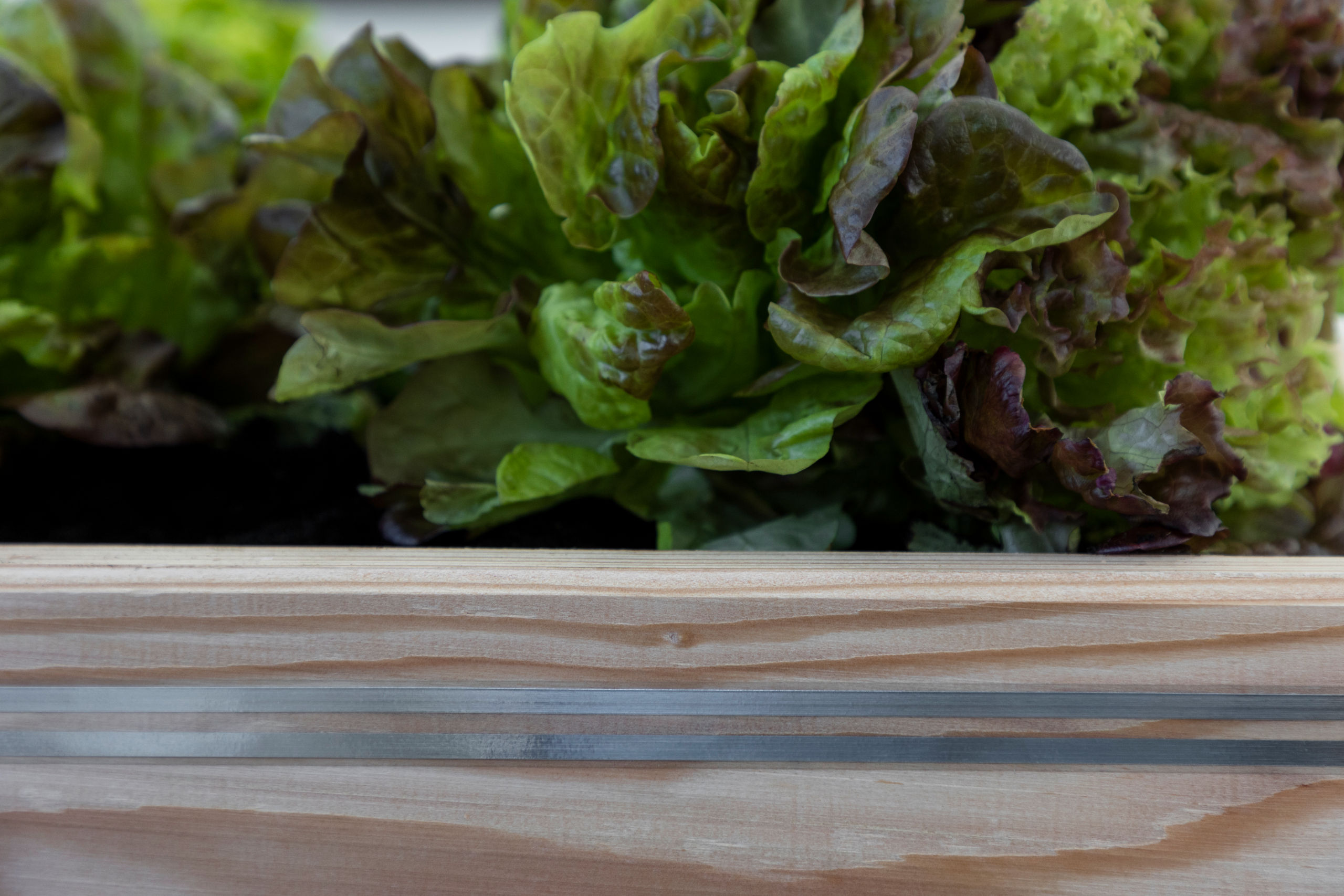 Kerbl SnailStop Zaunband 10 m, elektrischer Schneckenzaun