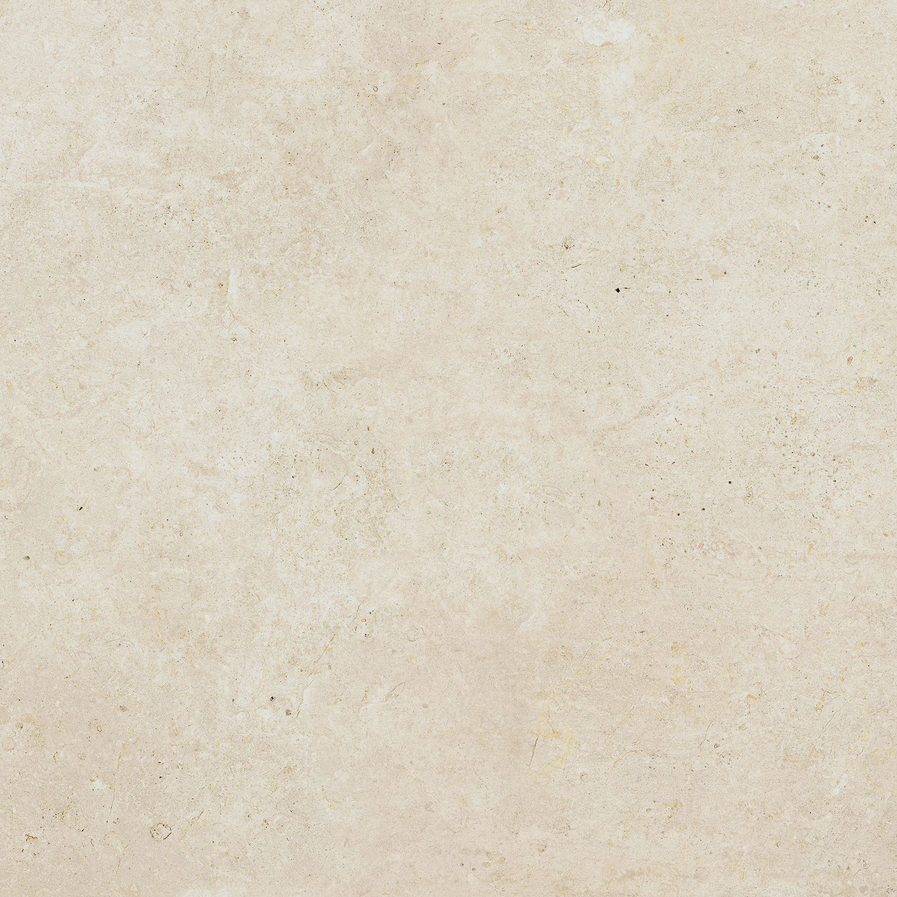 Lasselsberger Bodenfliese Lime beige, 60 x 60 cm