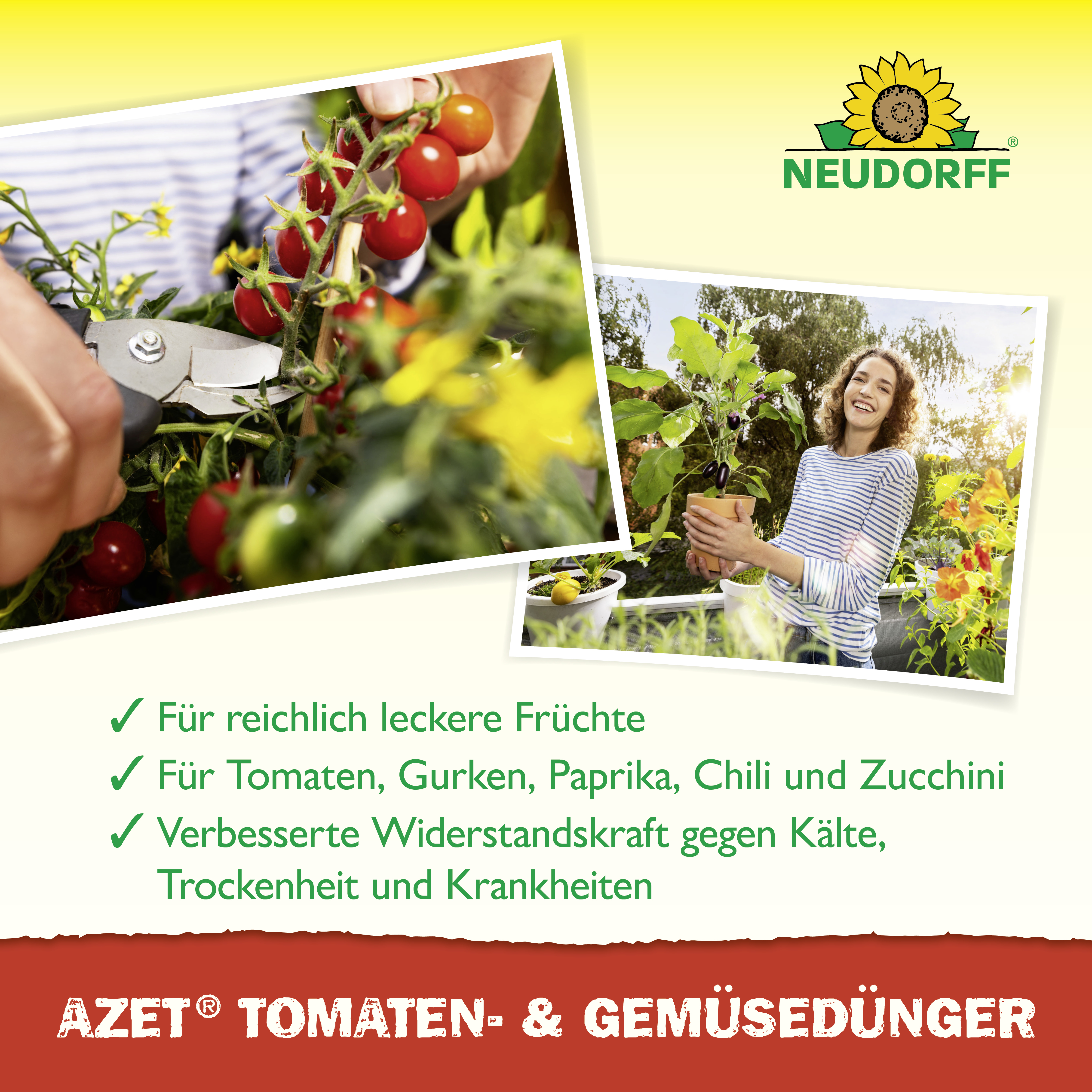 Neudorff Azet Tomaten- und GemüseDünger, 1 l