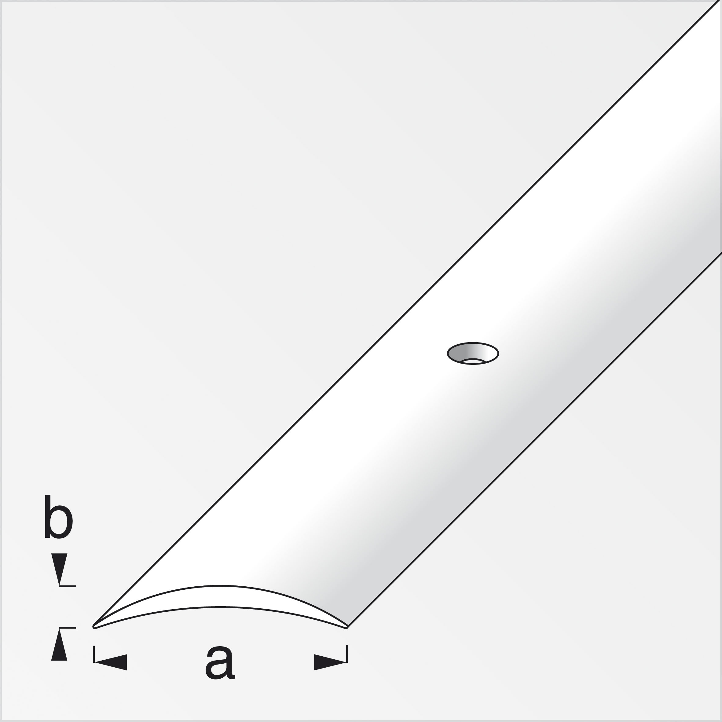Alfer Übergangs-Profil, gewölbt, gelocht, 1 m