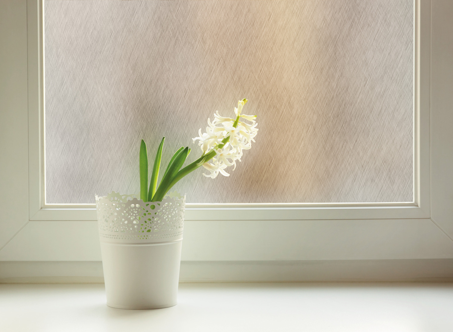 d-c-fix Fensterfolie Static Premium Ilva d-c-fix Fensterfolie Static Premium Ilva