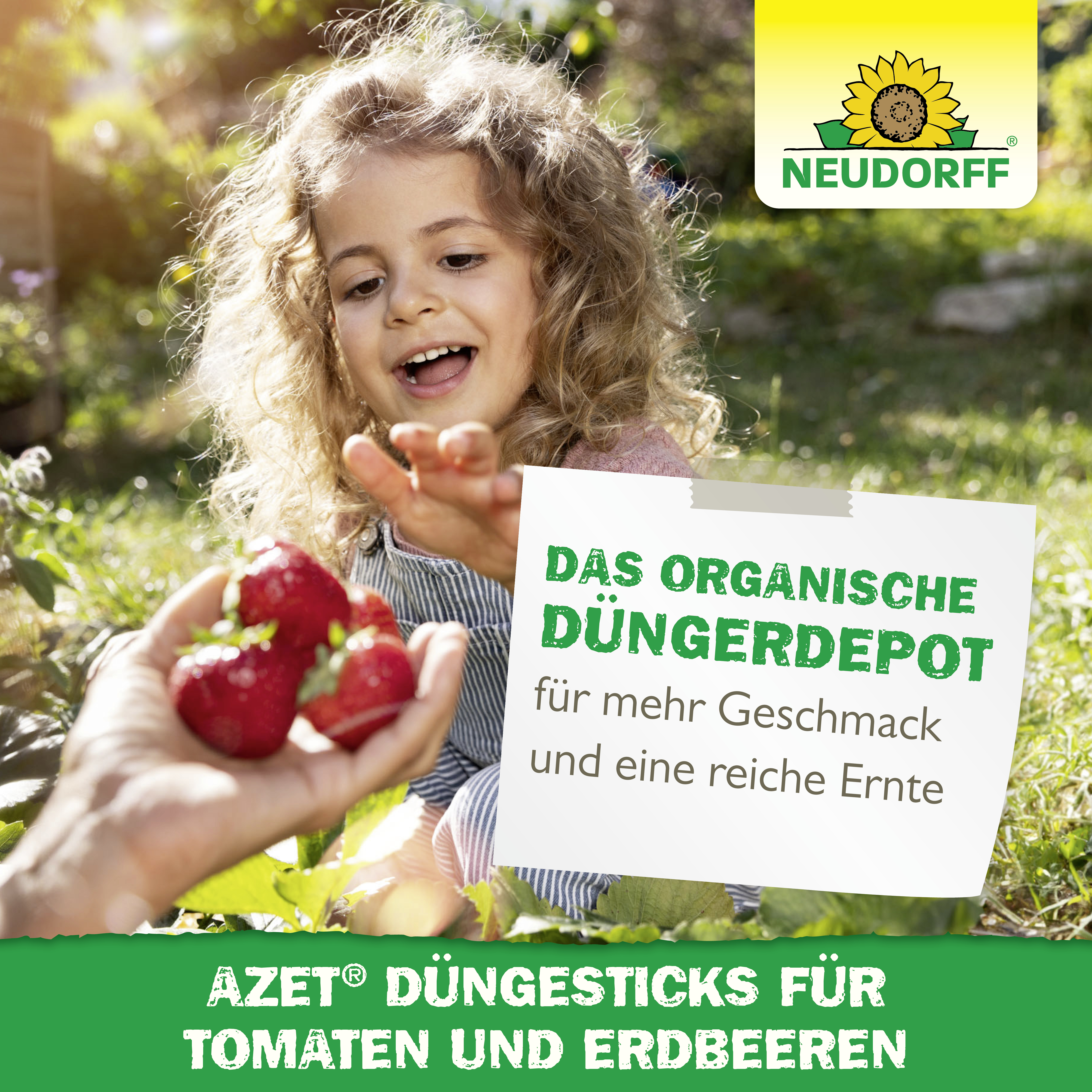 Neudorff Azet DüngeSticks für Tomaten und Erdbeeren, 40 Stück