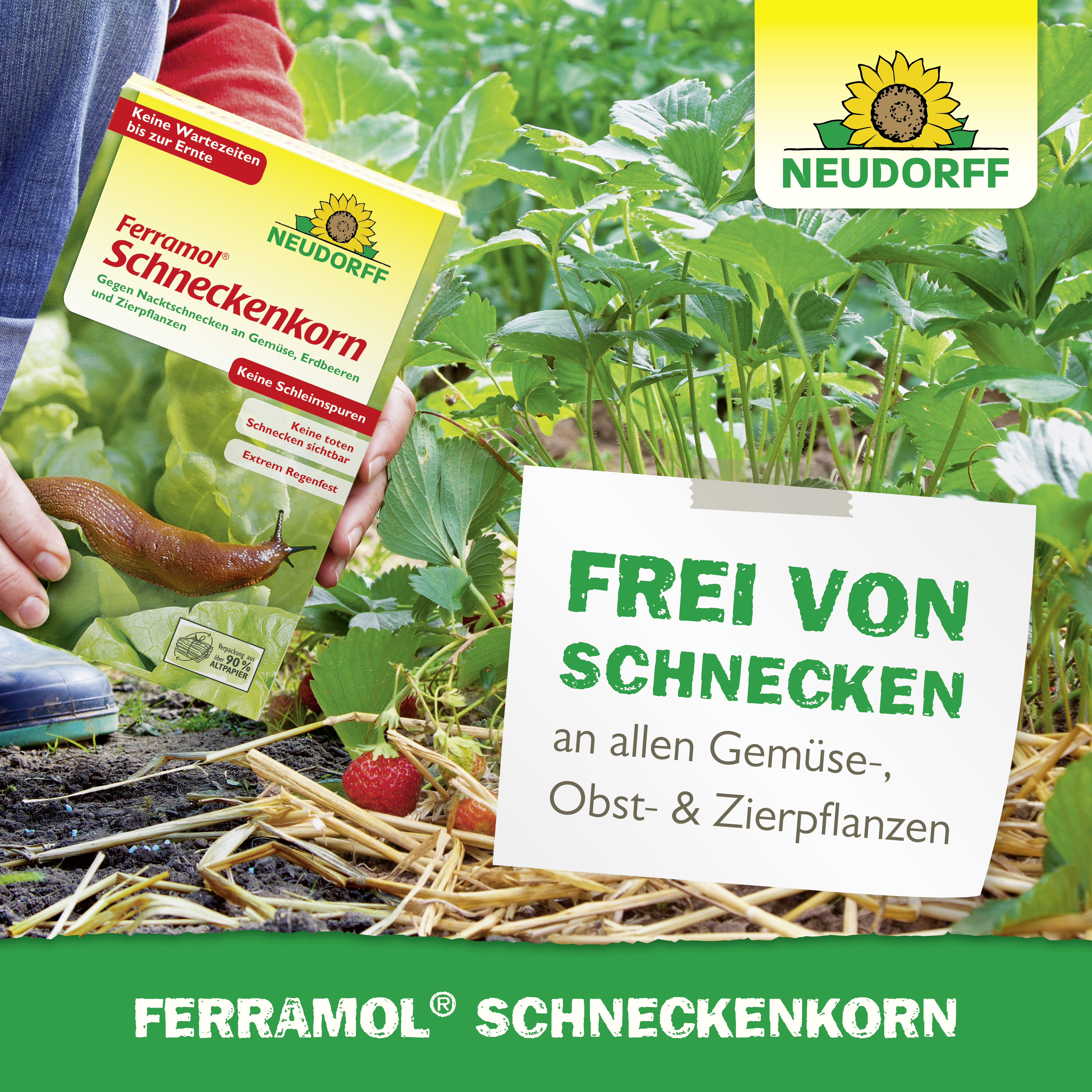 Neudorff Ferramol Schneckenkorn, 2 kg