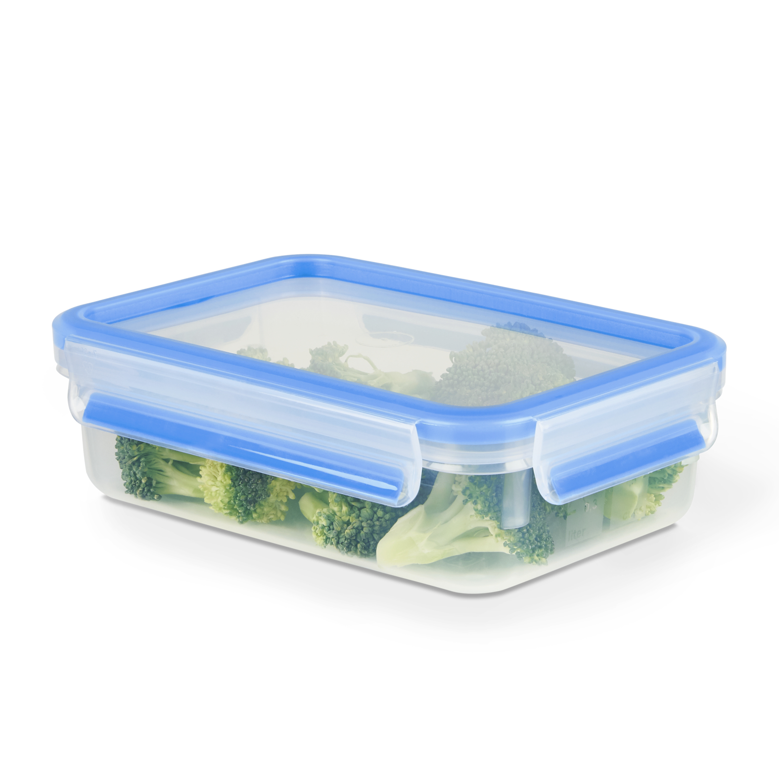 EMSA Clip & Close Frischhaltedose 0,8 L, rechteckig EMSA Clip & Close Frischhaltedose 0,8 L, rechteckig