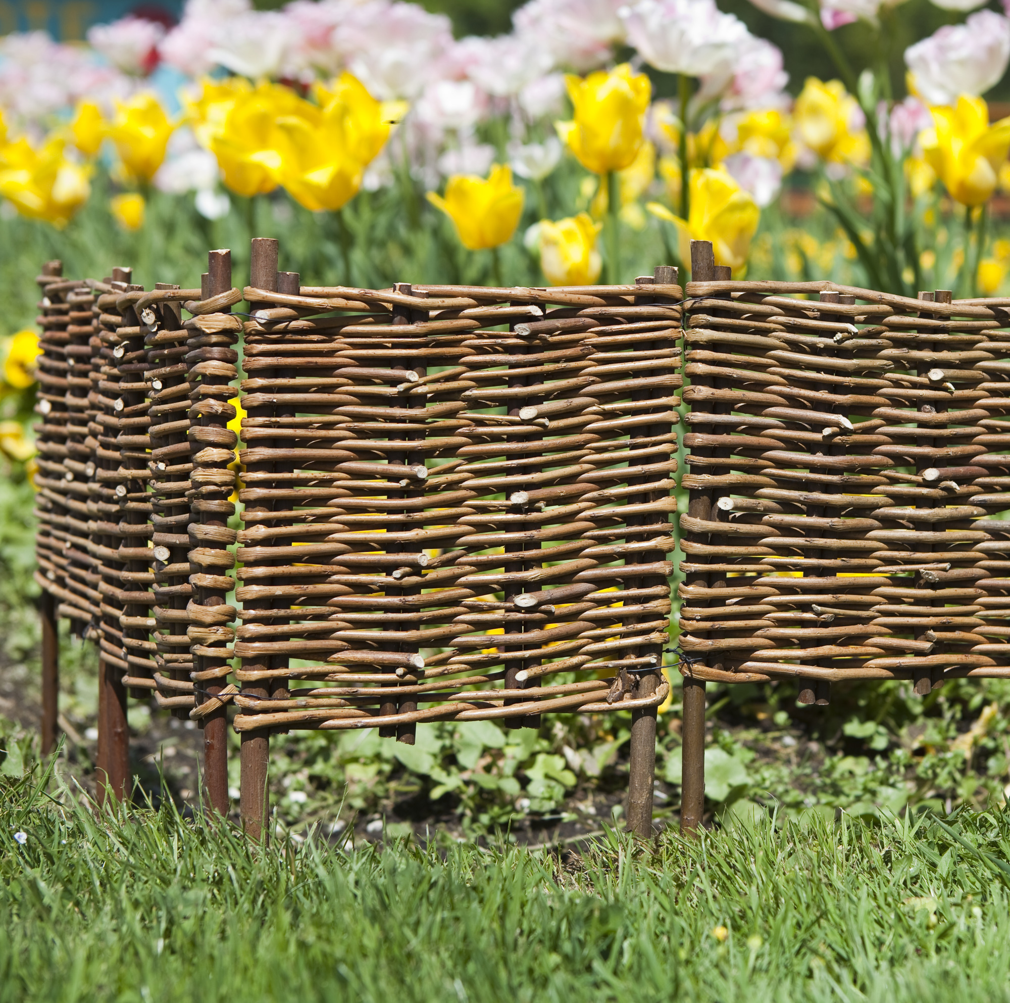Windhager Beeteinfassung Weide, 5-teilig, 100 x 20/35 cm