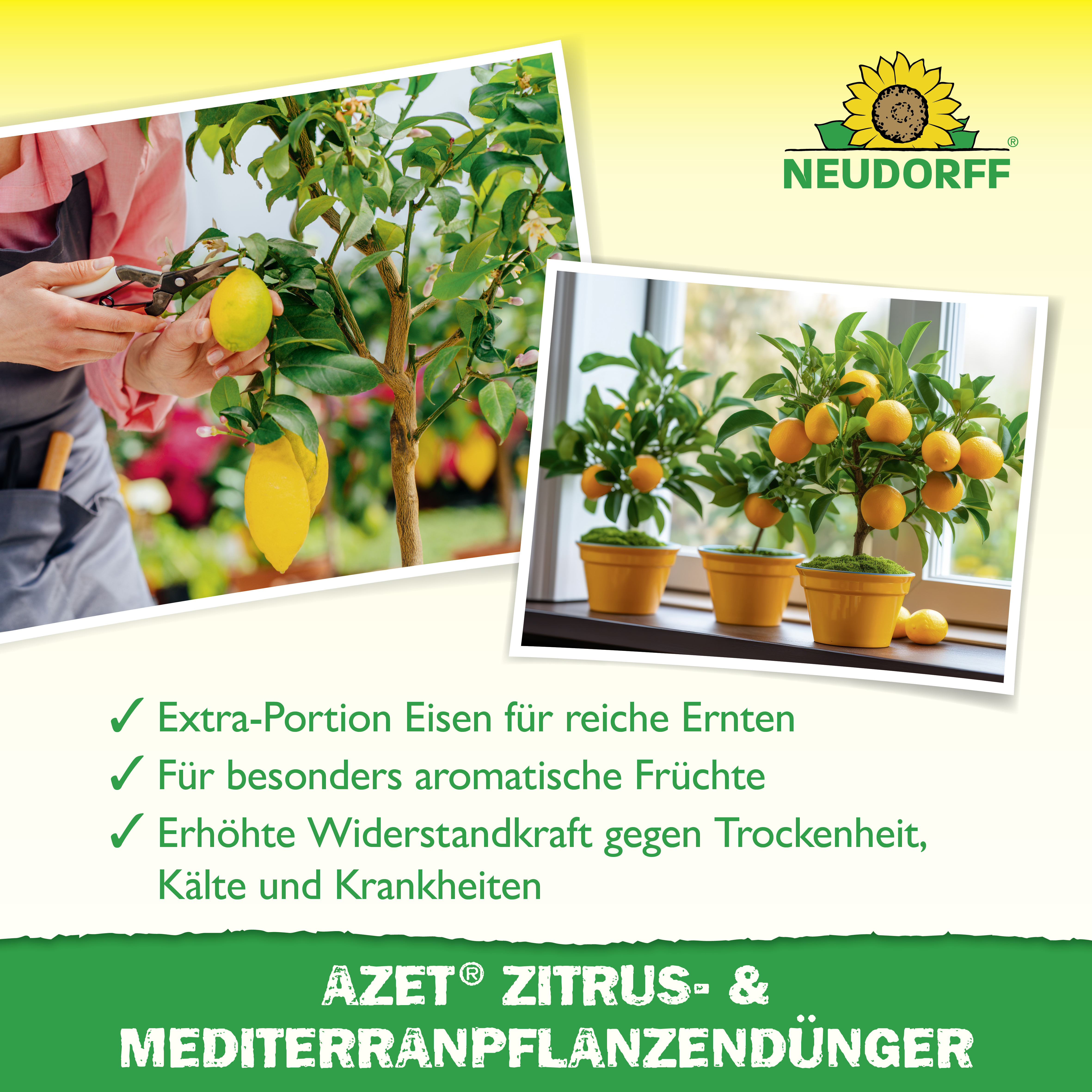 Neudorff Azet Zitrus- & MediterranpflanzenDünger, 750 g