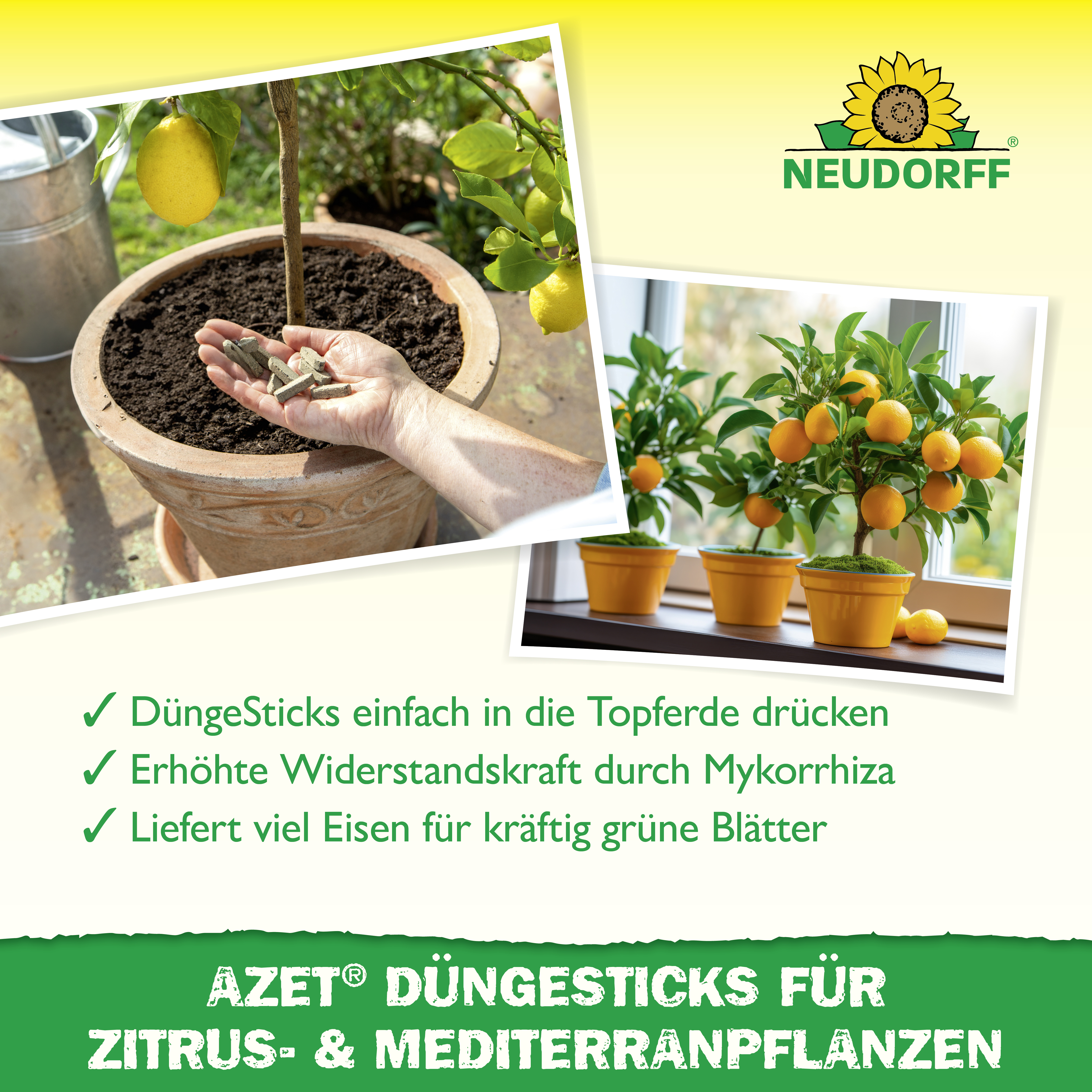 Neudorff Azet DüngeSticks für Zitrus- und Mediterranpflanzen, 40 Stück