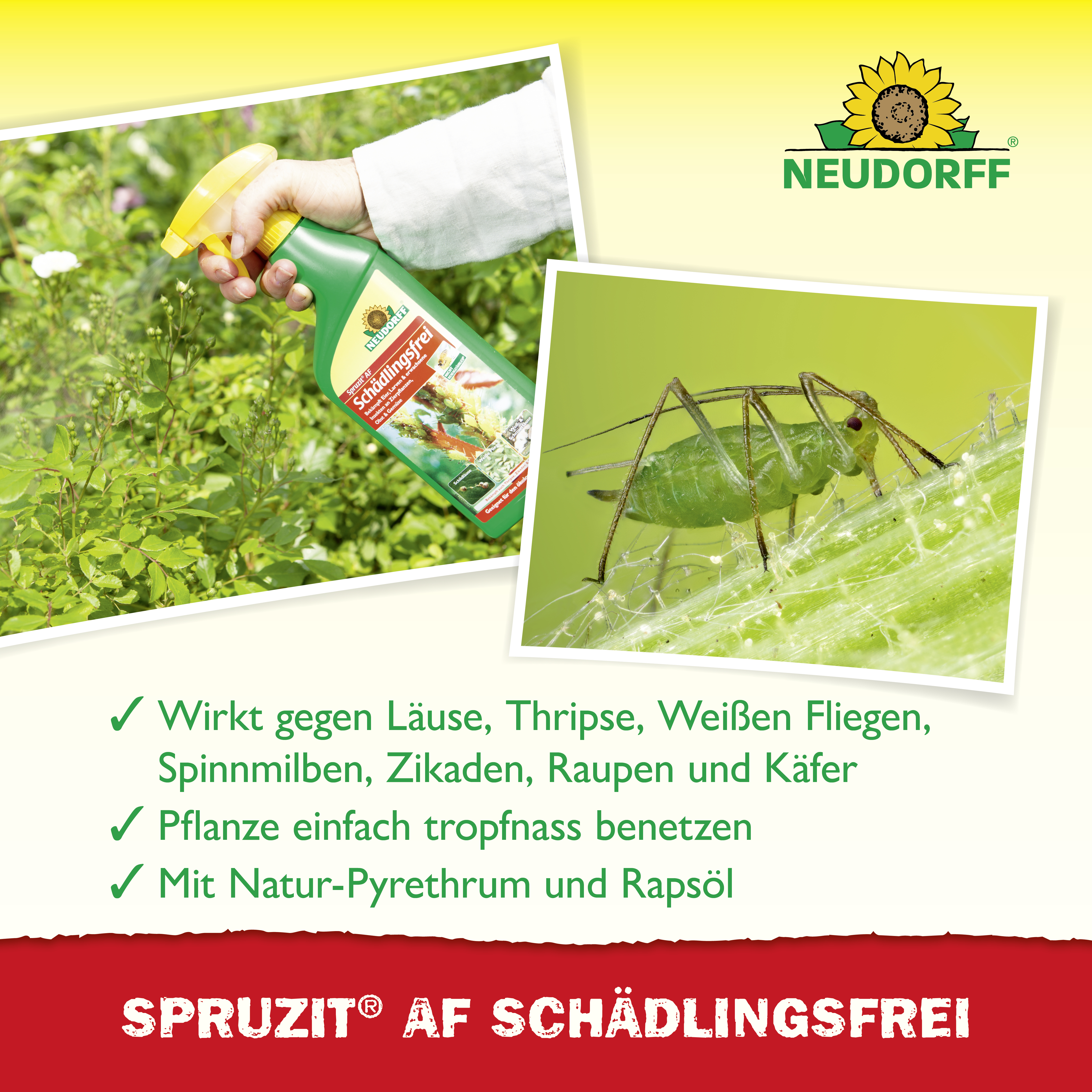Neudorff Spruzit AF Schädlingsfrei, 500 ml