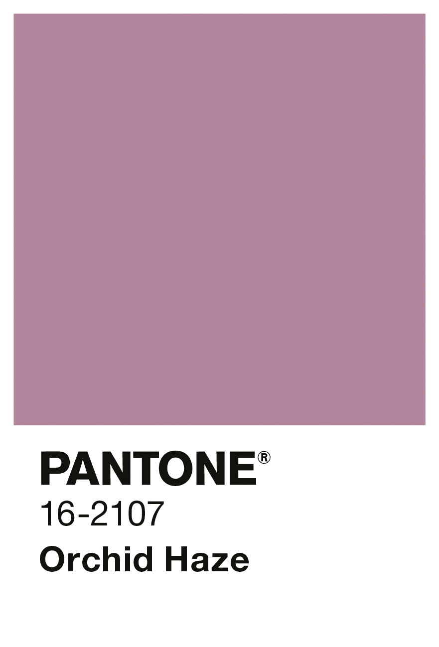 Alpina PANTONE® Orchid Haze, 2,5 Liter
