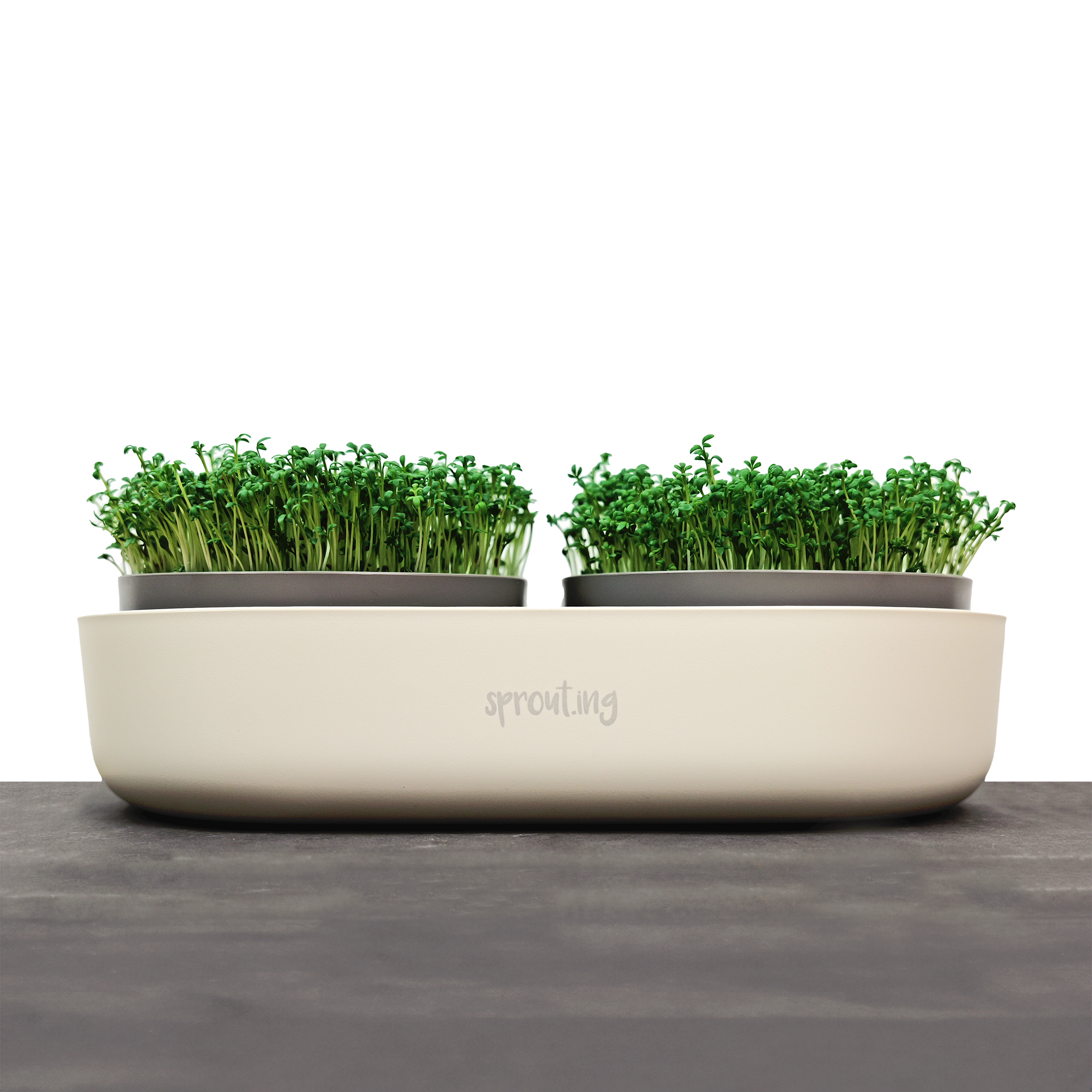 Sprouting Anzuchtschale, Doppelt