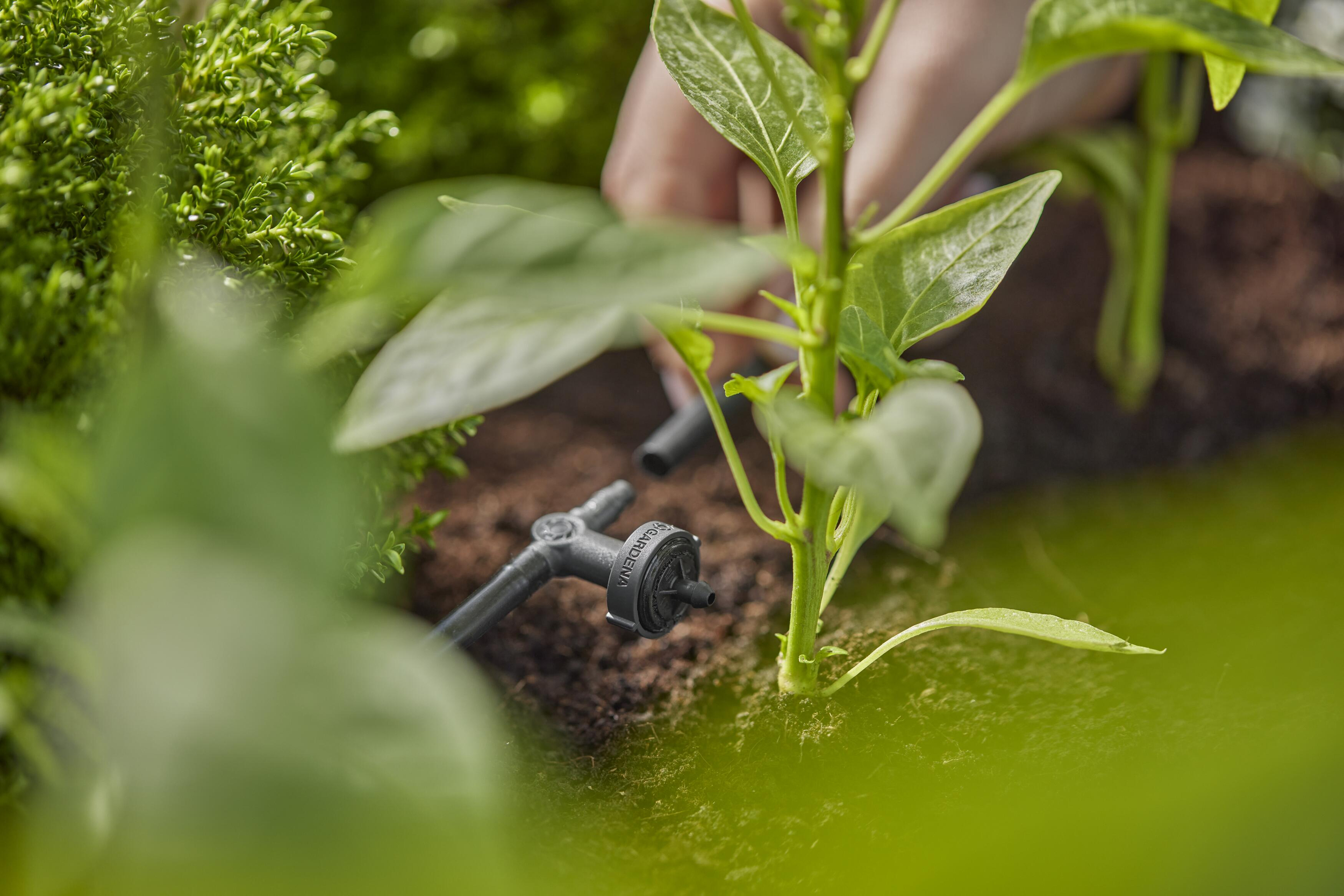 Gardena Micro-Drip-System Reihentropfer druckausgleichend 2 l/h Gardena Micro-Drip-System Reihentropfer druckausgleichend 2 l/h