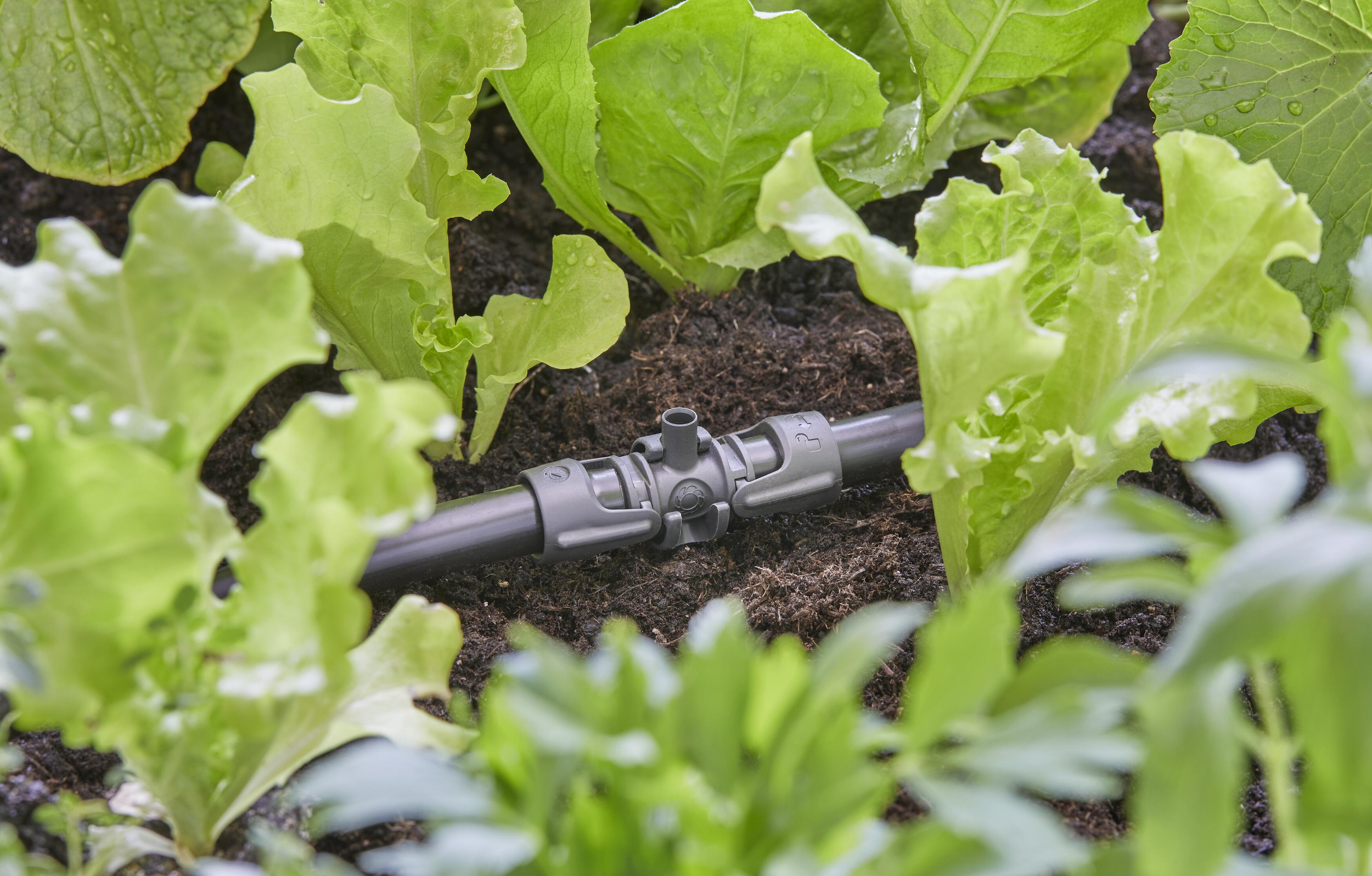 Gardena Micro-Drip-System T-Stück für Sprühdüsen 13 mm (1/2") - Inhalt: 5 Stück