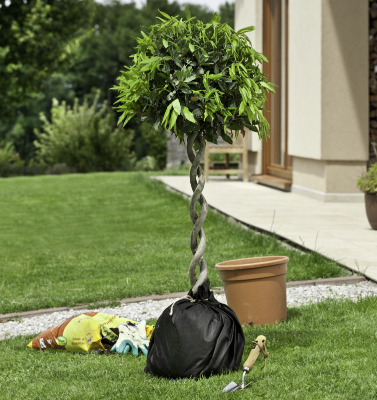 Windhager Trenn-Vlies, 2 x 1 m, 60g/m² Windhager Trenn-Vlies, 2 x 1 m, 60g/m²