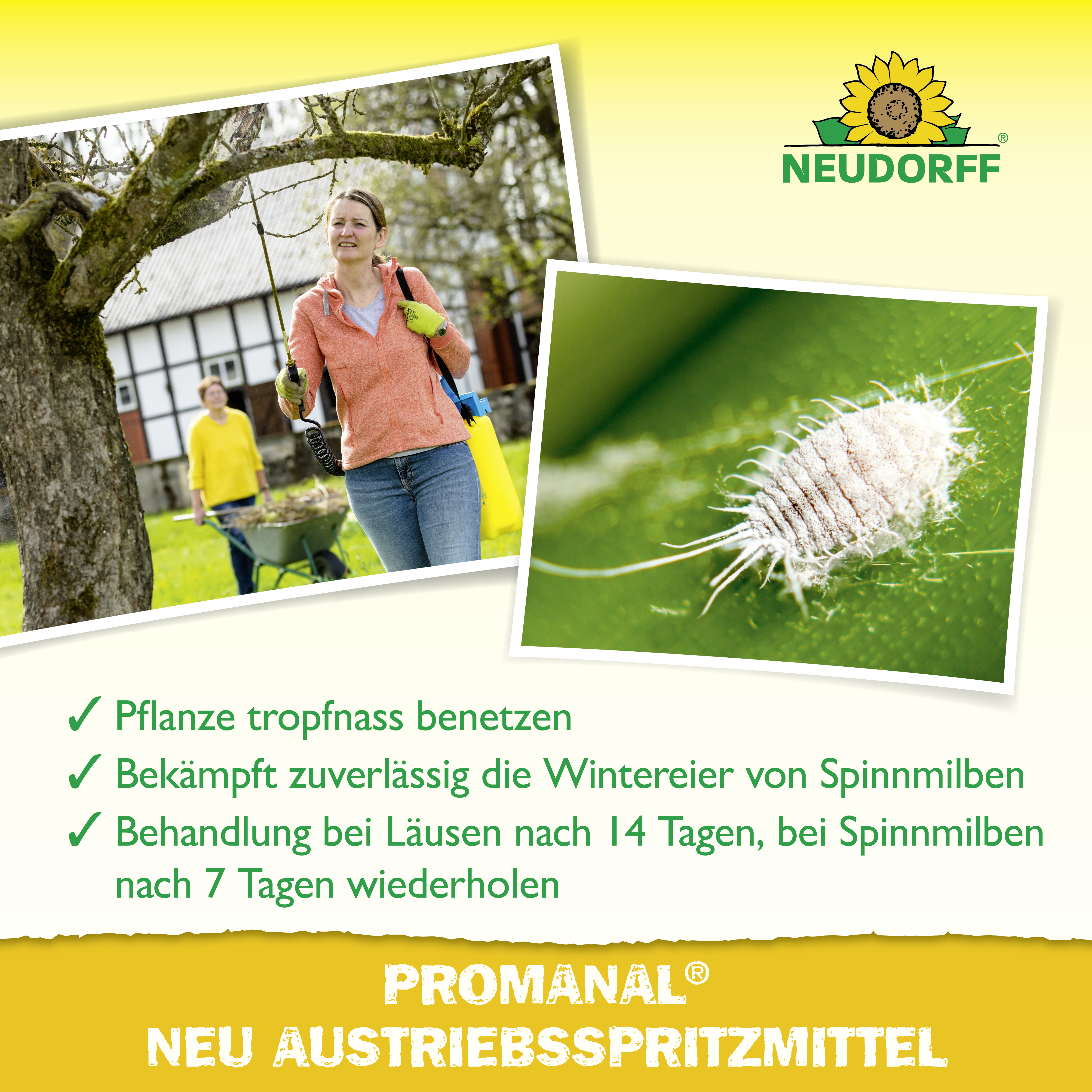 Neudorff Promanal Neu Austriebsspritzmittel, 500 ml