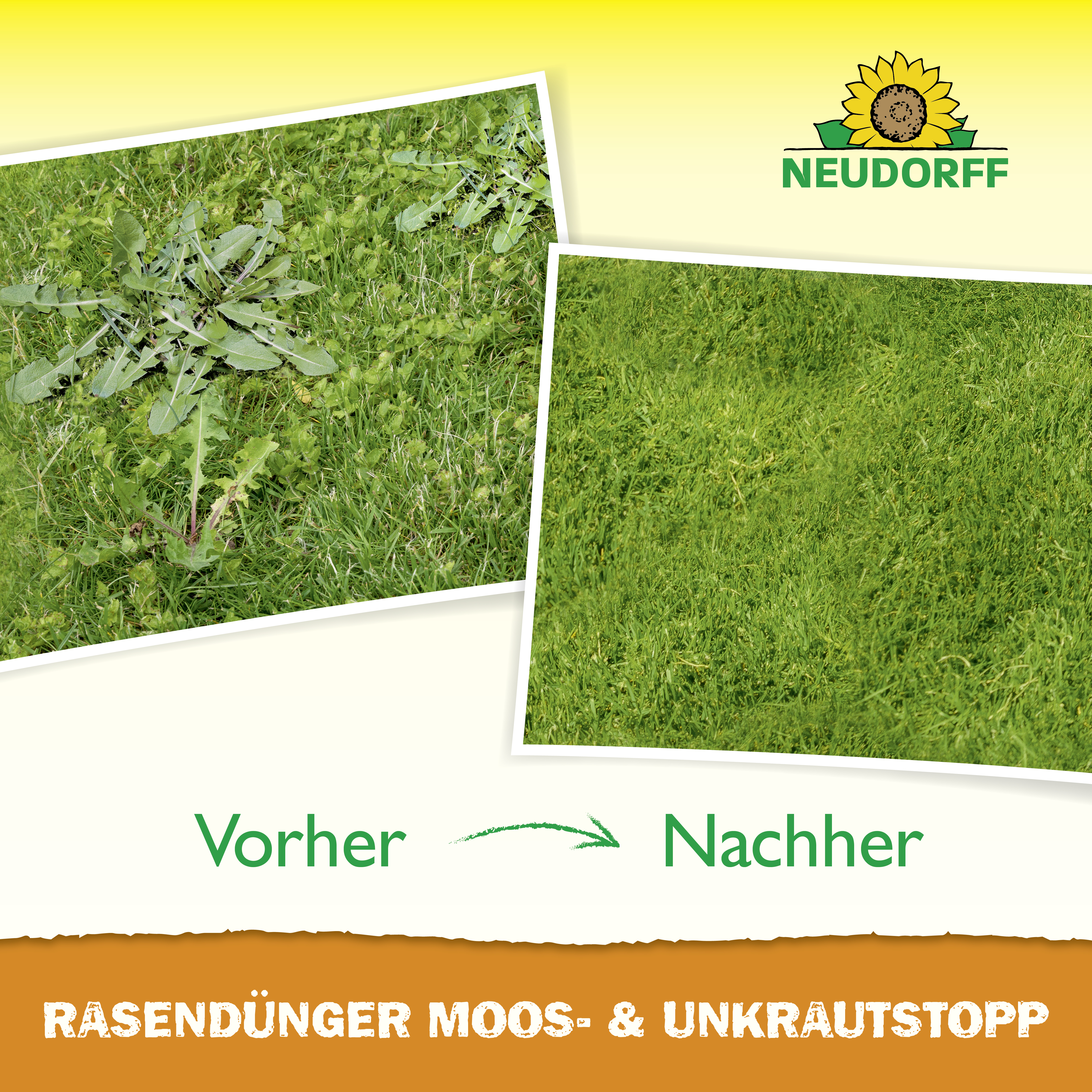Neudorff RasenDünger Moos- & UnkrautStopp, 5 Kg