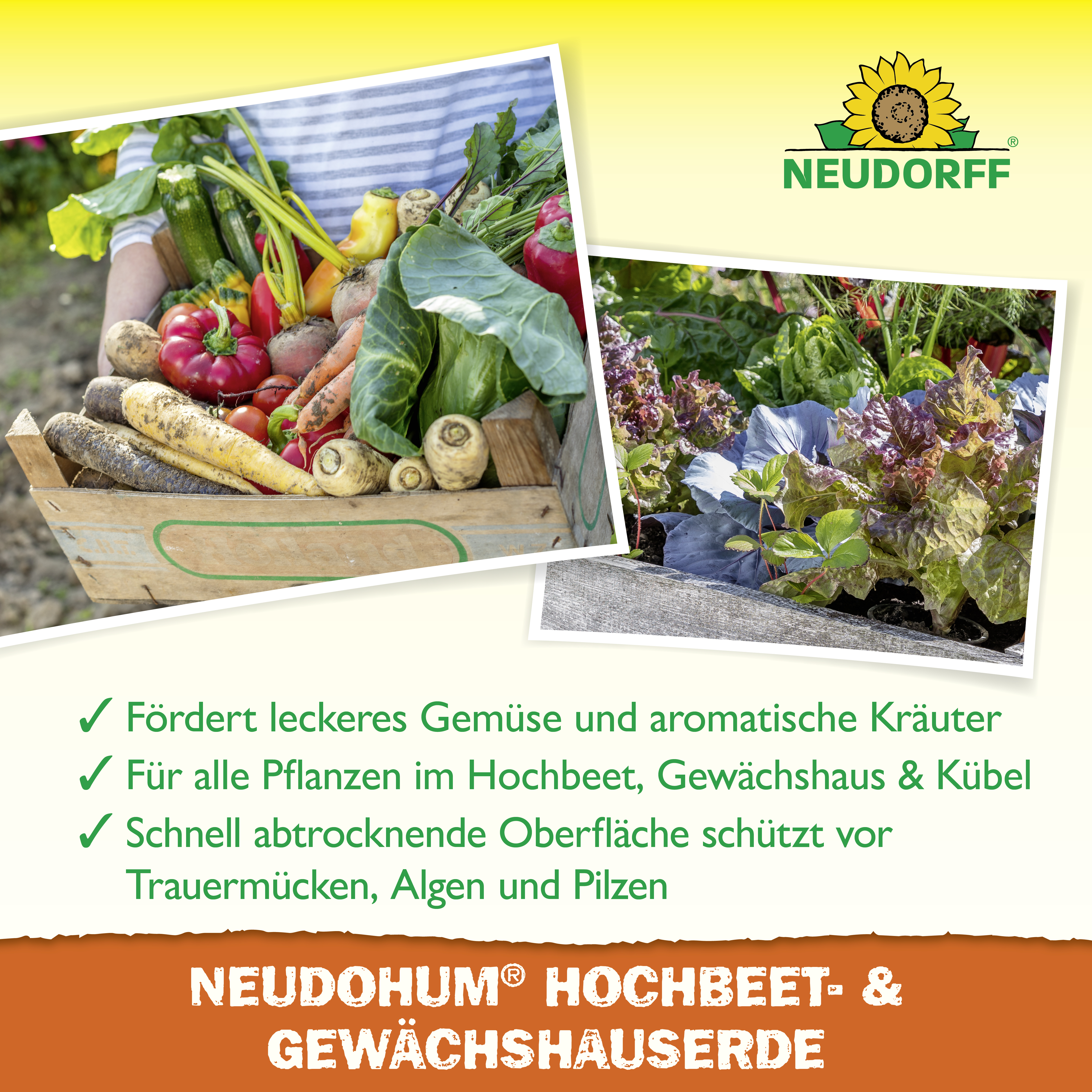 Neudorff NeudoHum Hochbeet- und GewächshausErde, 75 l