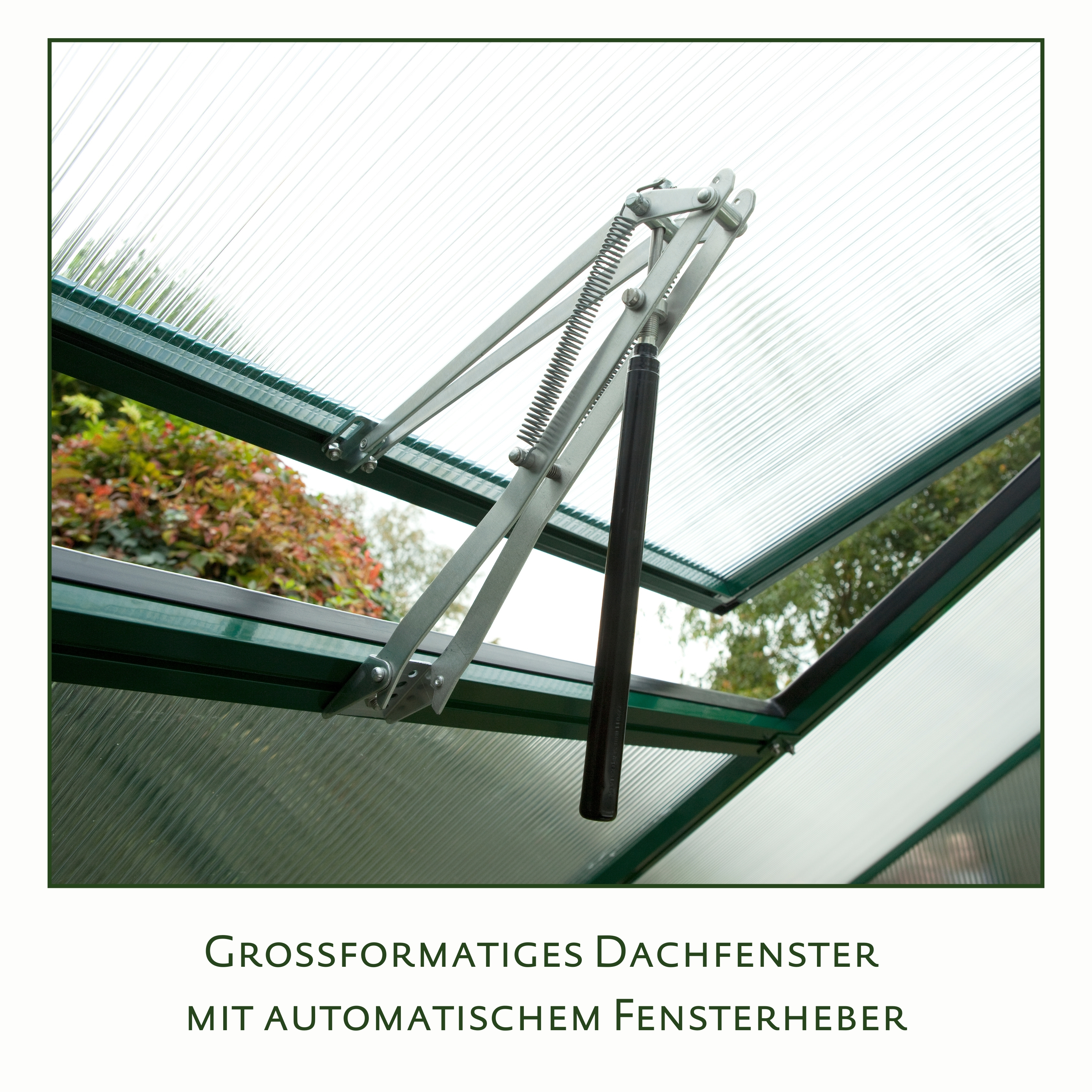 KGT Gewächshaus Nelke III, anthrazit-grau