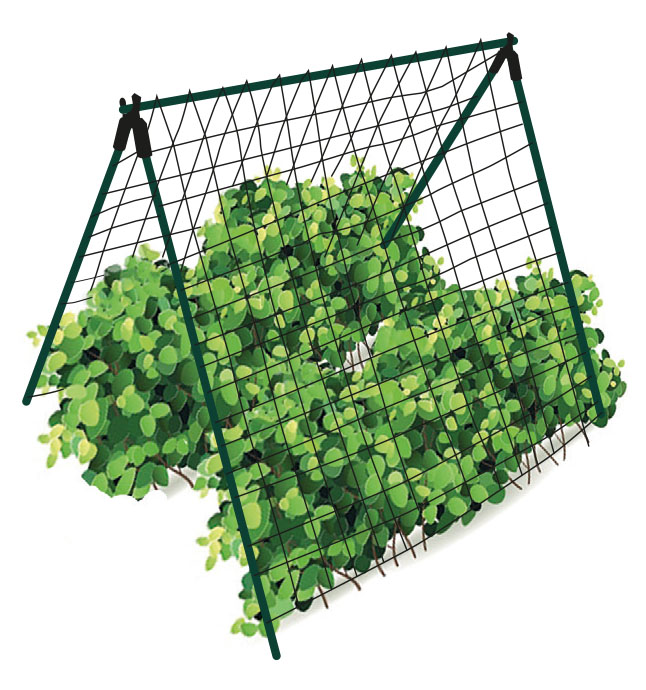 0702633141616_sfeerqhG4DkBqhNGiA Gartennetz