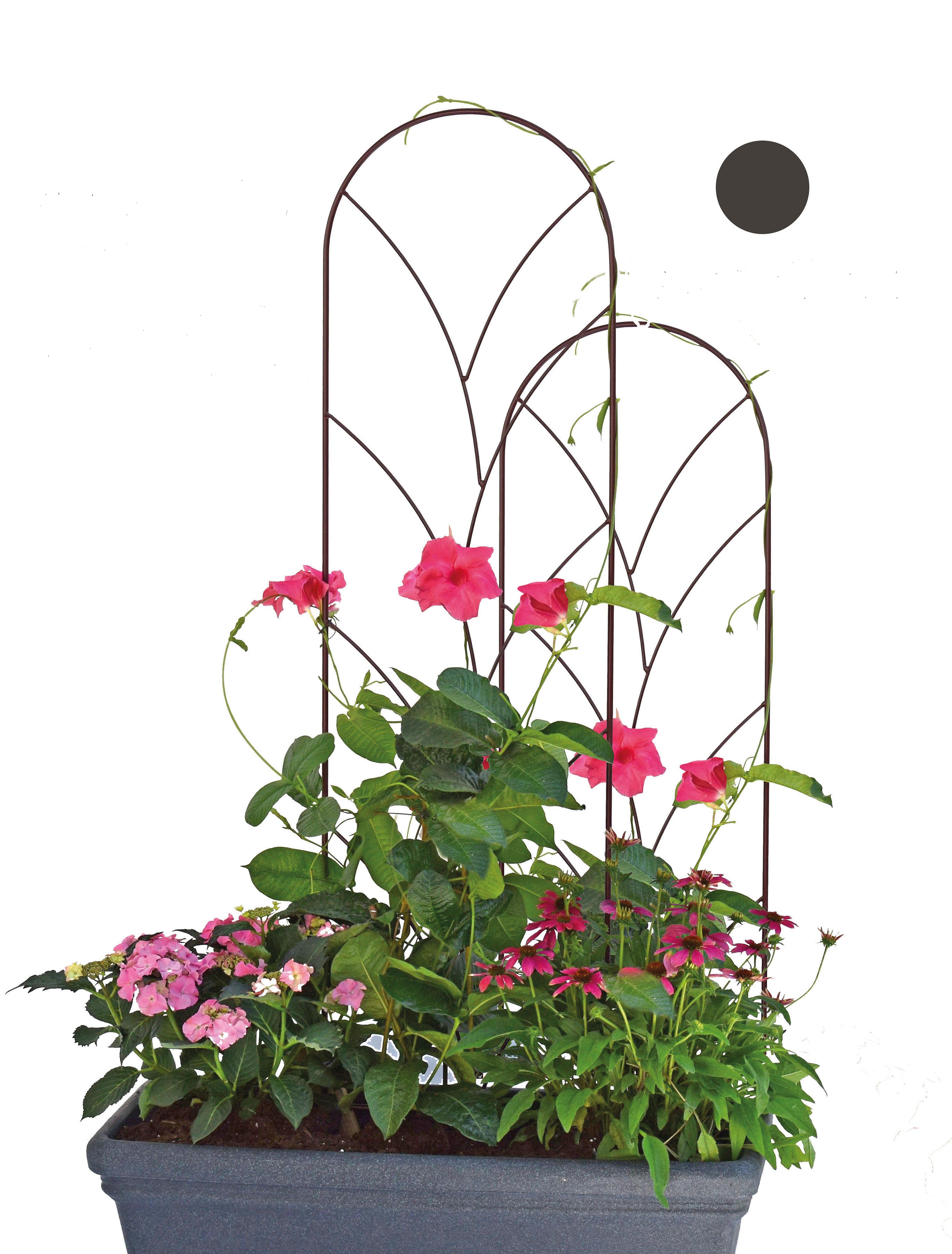 Pink Garten Spalier Ranke M, schwarz, PE coatet