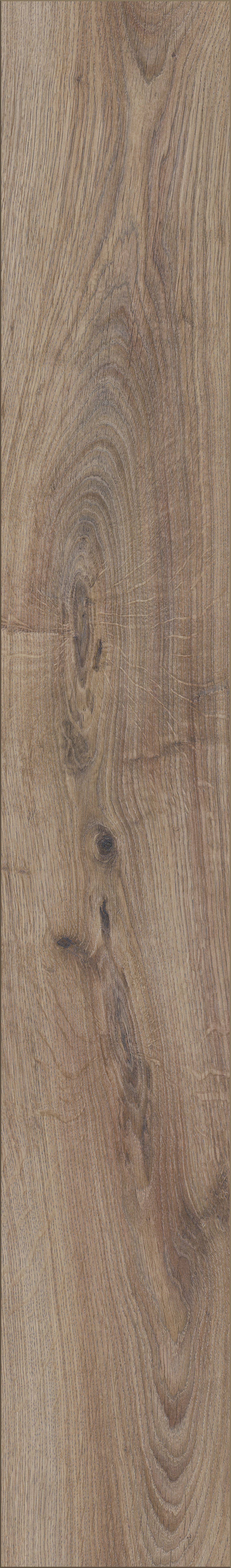 Euro Home Laminatboden River 12 Renaissance Oak Euro Home Laminatboden River 12 Renaissance Oak