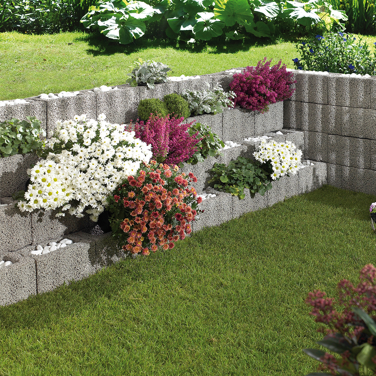 259603_Szene1 Kann Wellenpflanzstein