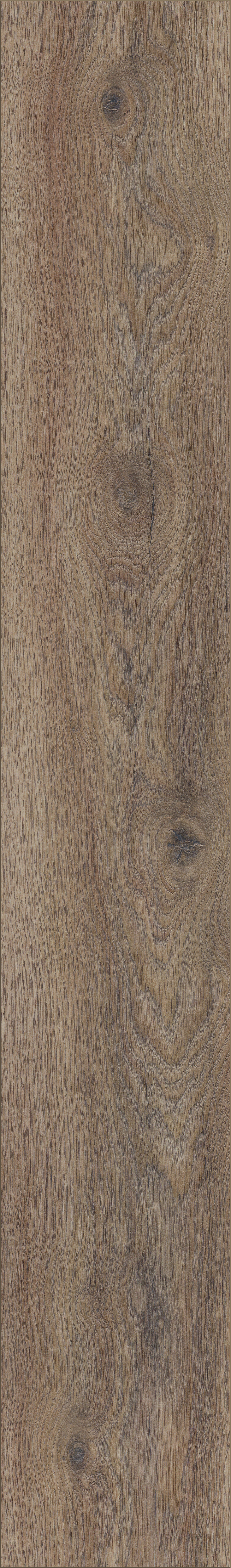 Euro Home Laminatboden River 12 Renaissance Oak Euro Home Laminatboden River 12 Renaissance Oak