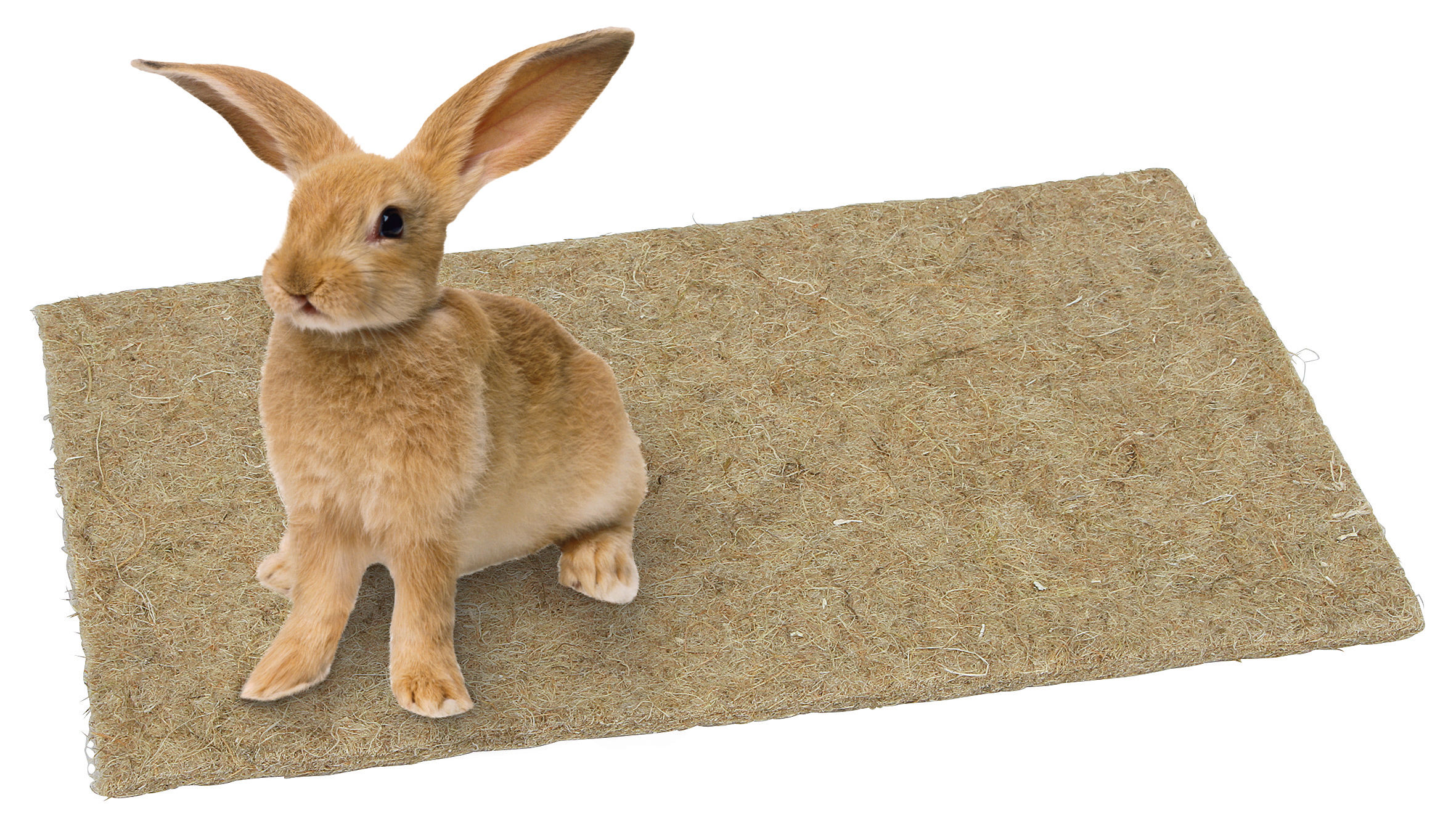 Kerbl Nagerteppich aus 100% Hanf, 40 x 100 x 1 cm