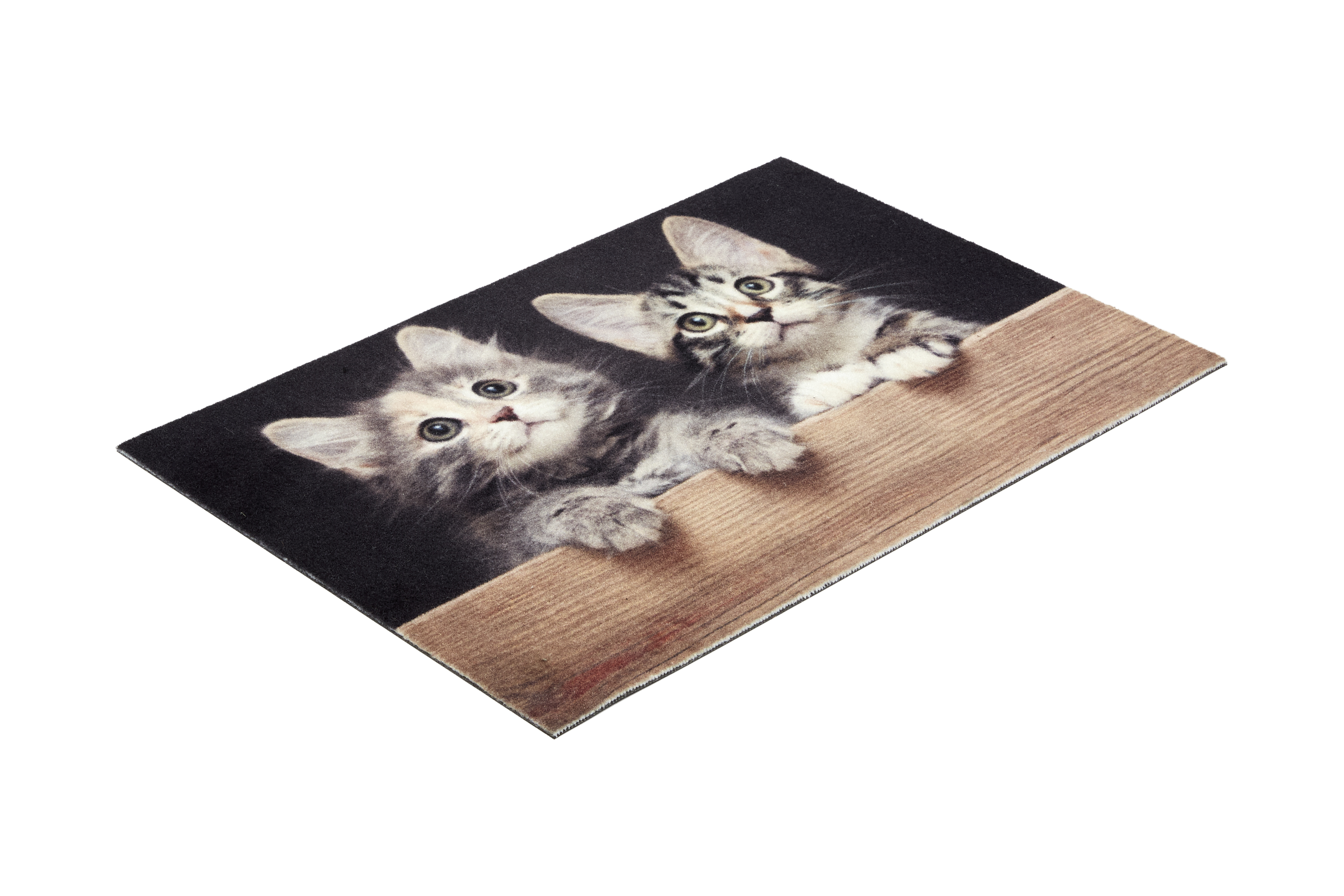 Astra Deco Print ca. 40x60cm D.108 C.999 Katzen Holz