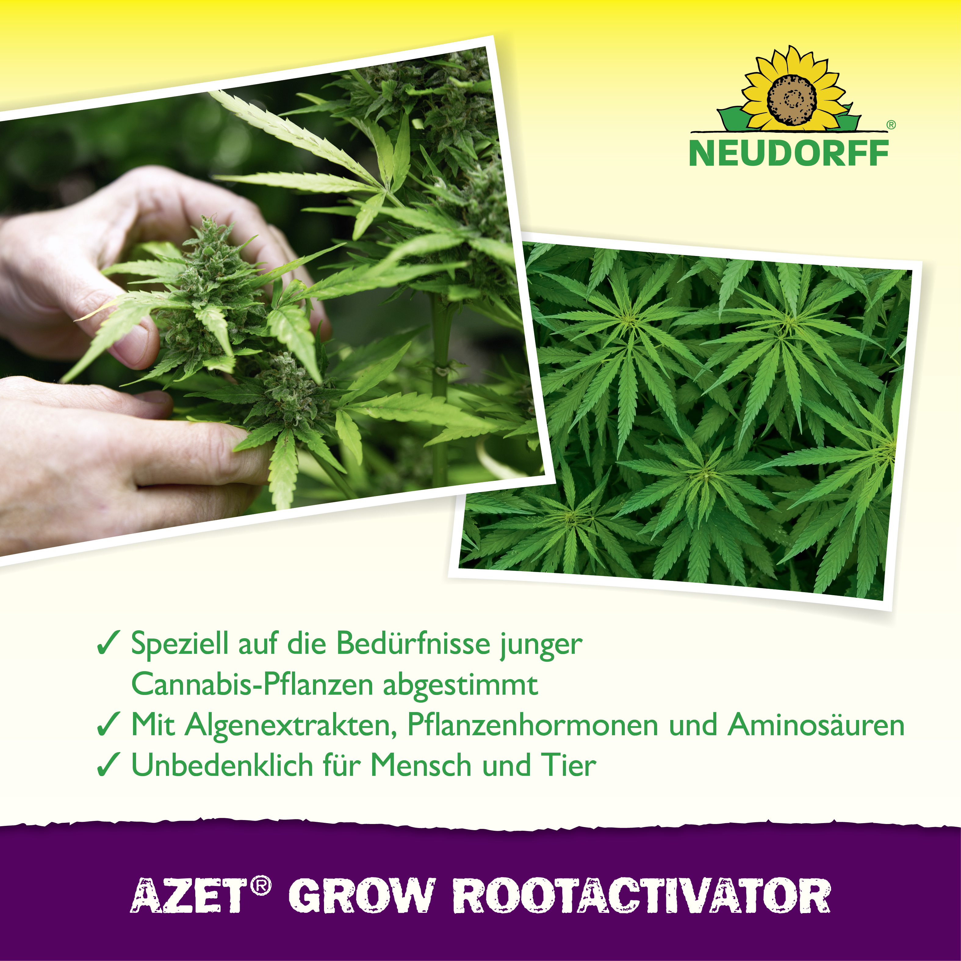 Neudorff GrowRootActivator, 40 g