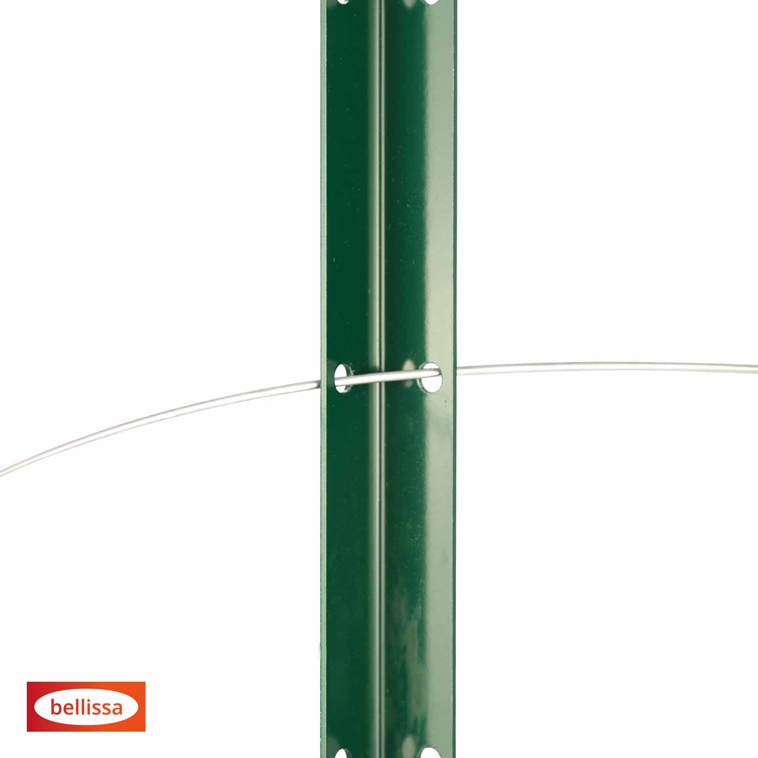 Bellissa Pflanzstab Timo 100 G