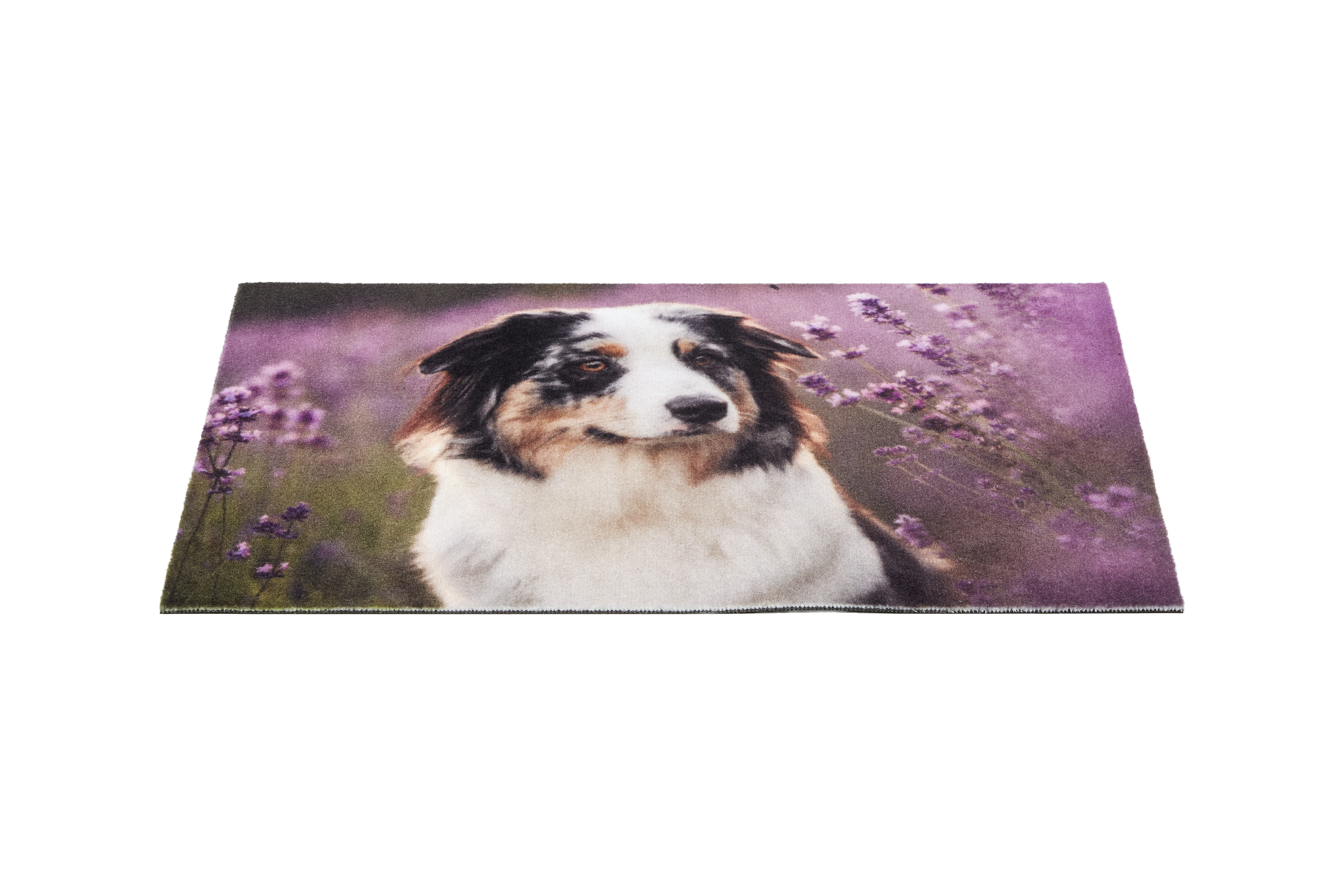 Astra Deco Print ca. 40x60cm D.105 C.999 Mila