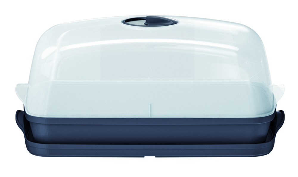 Prosperplast Tischgewächshaus Respana, anthrazit Prosperplast Tischgewächshaus Respana, anthrazit