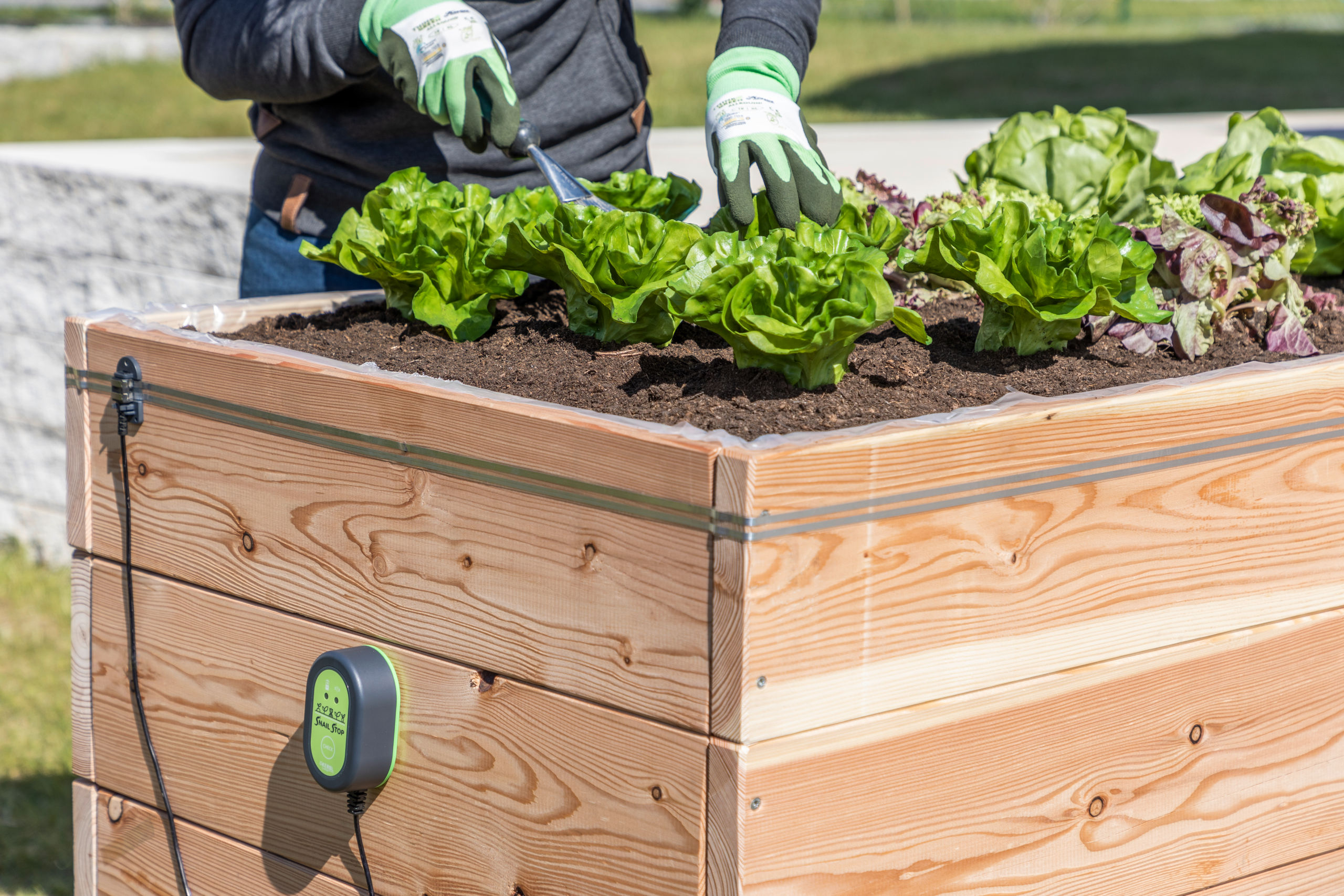 Kerbl SnailStop Starter-Set, Elektrischer Schneckenzaun