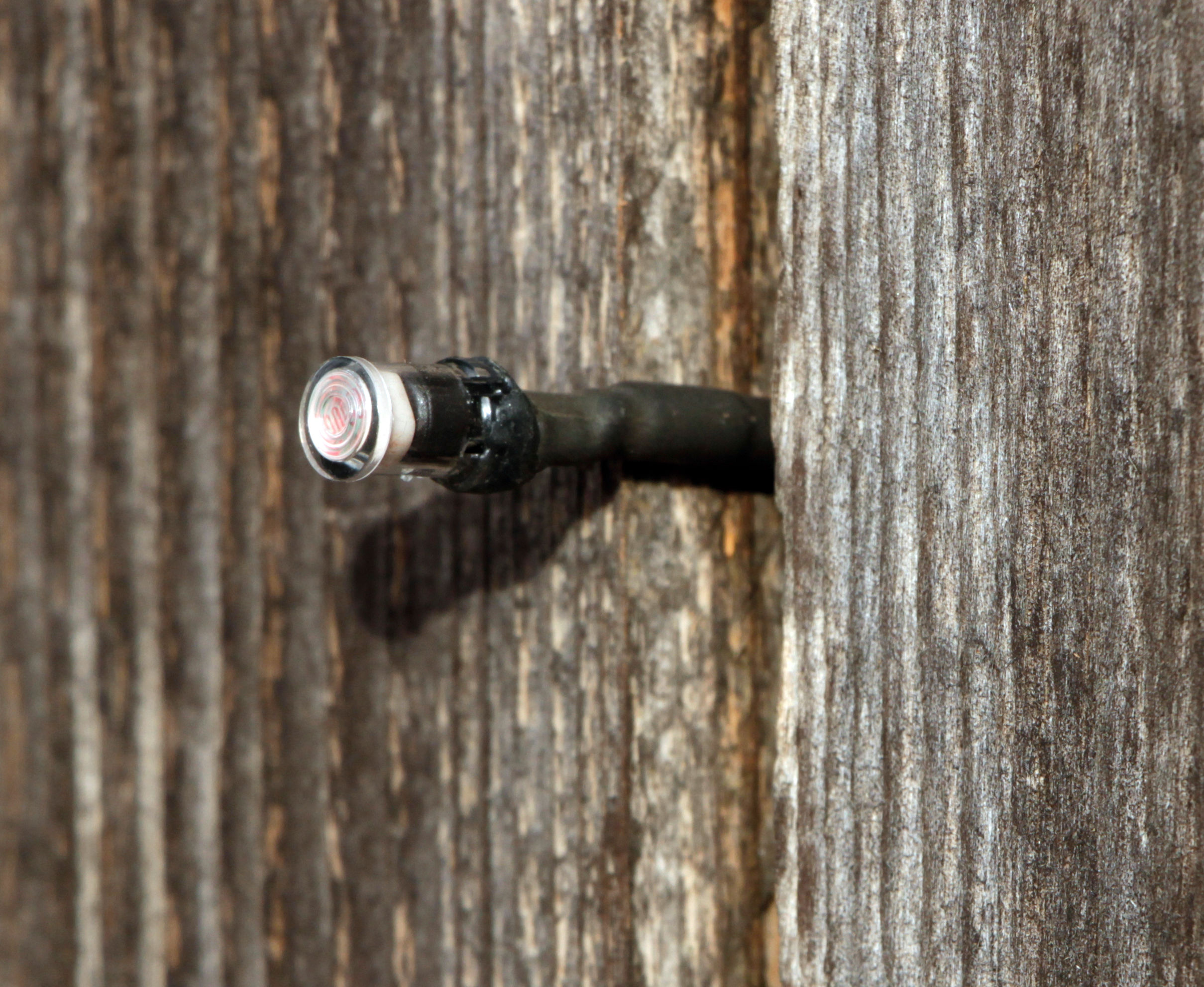 Kerbl Steuerung für Automatische Hühnertür