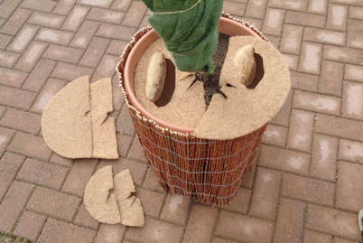 Floraworld Kokos-Mulchscheibe, 37 cm Floraworld Kokos-Mulchscheibe, 37 cm