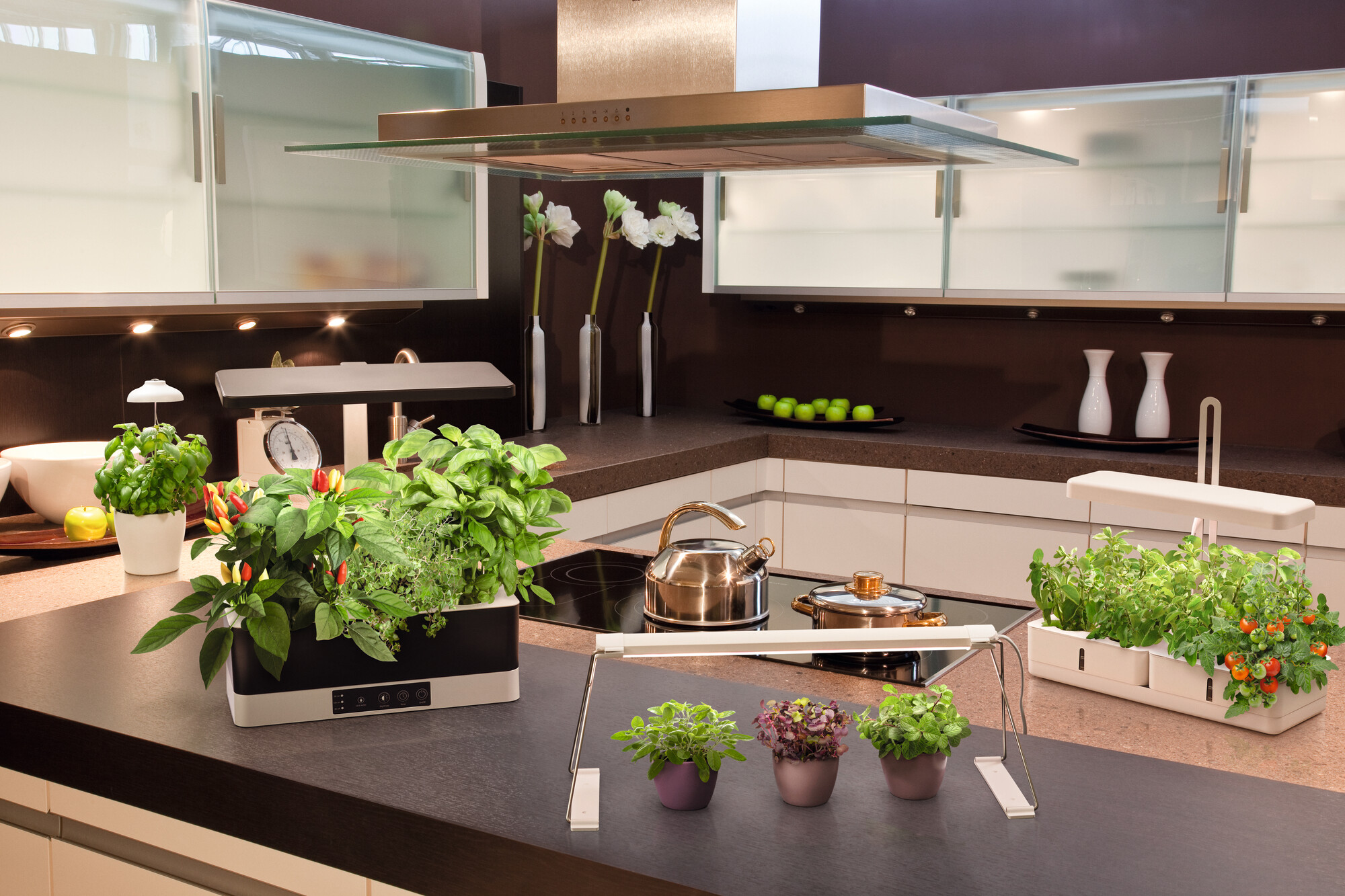 Ledvance Indoor Garden Kit 450 20W, weiß Ledvance Indoor Garden Kit 450 20W, weiß