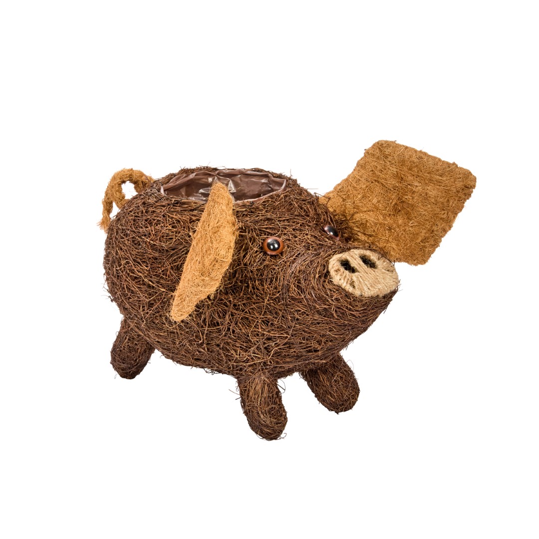 Smart Garden Schweinchen