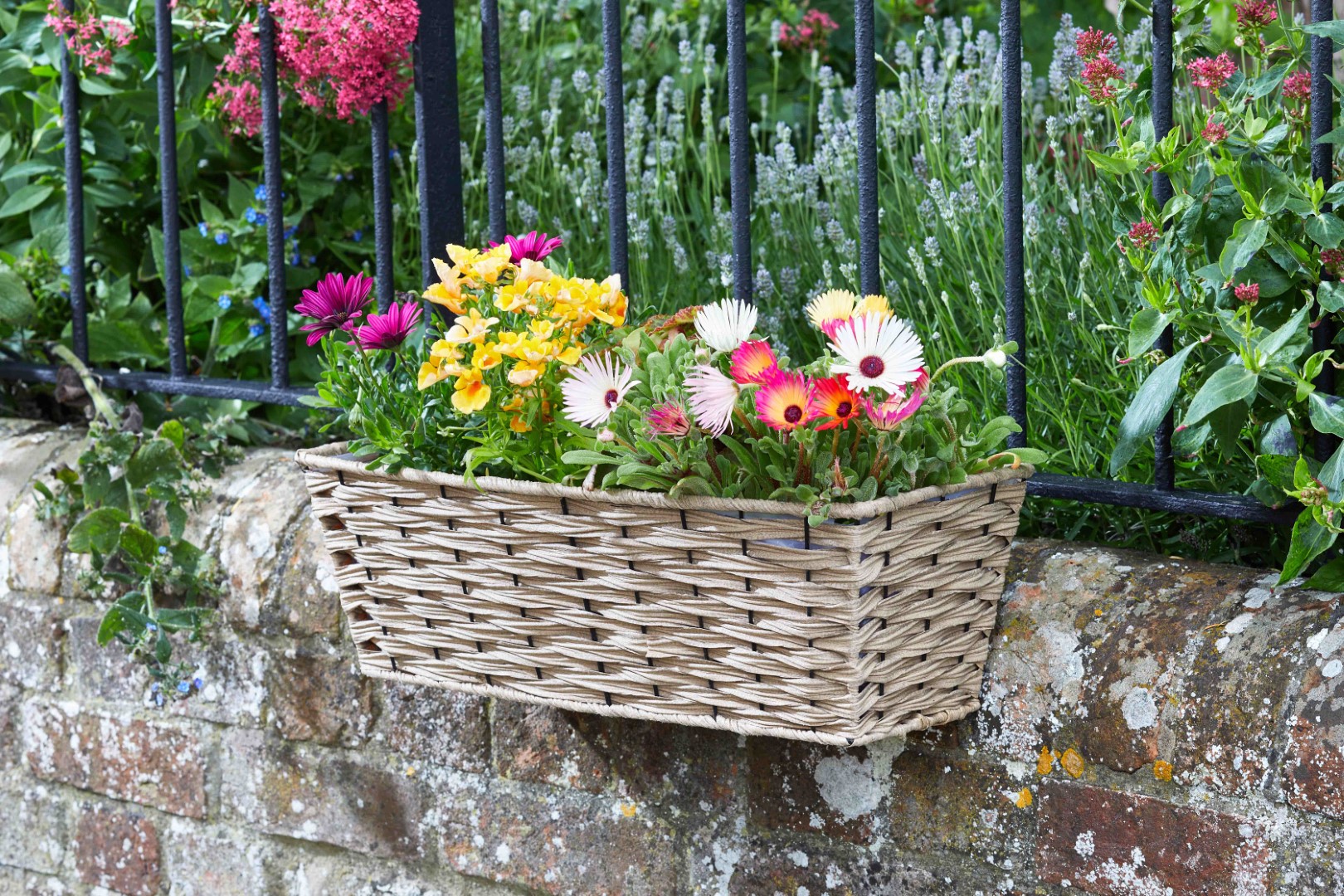 Smart Garden Bari Kunst-Rattan Pflanzgefäß - Sand 48 cm