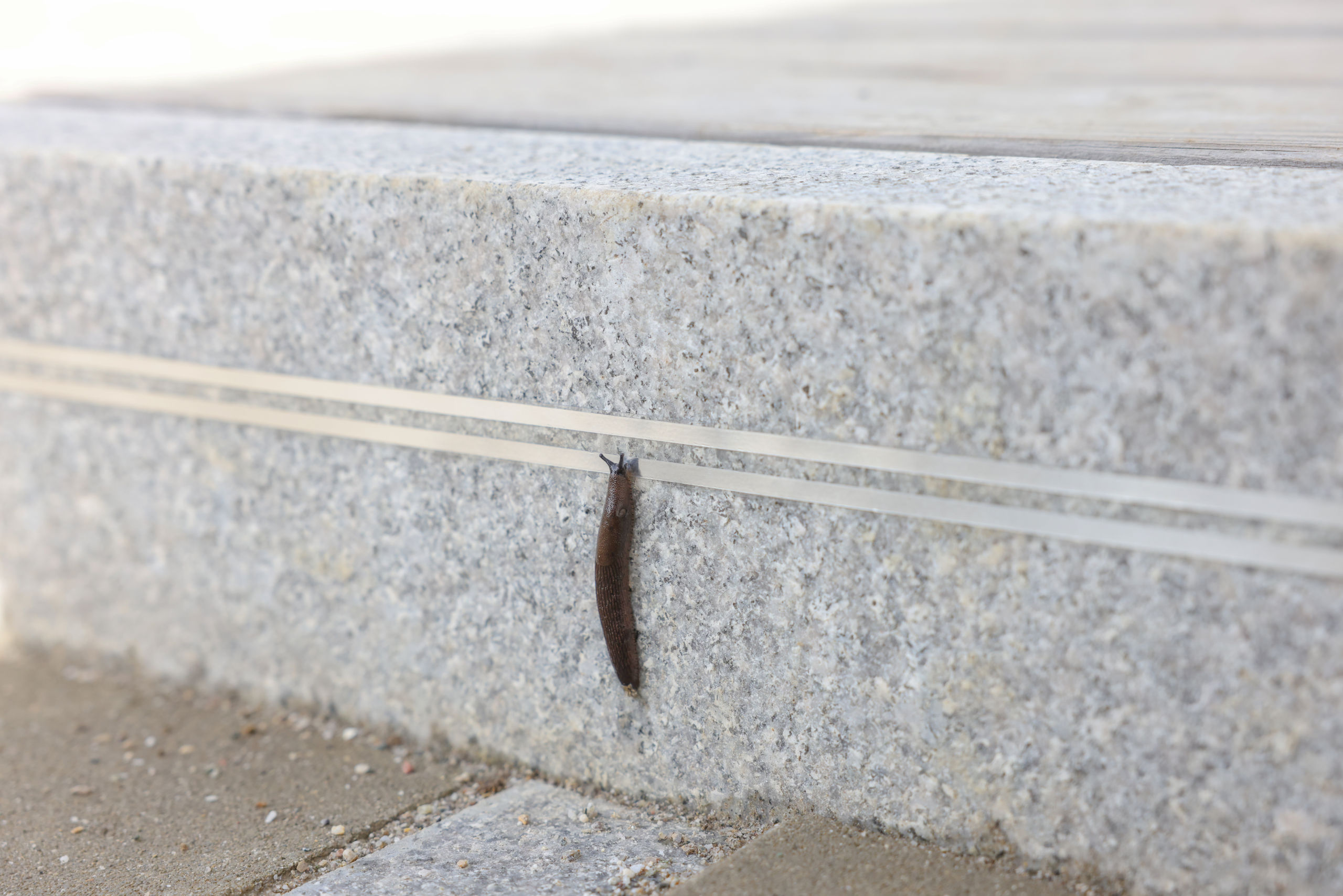 Kerbl SnailStop Zaunband 10 m, elektrischer Schneckenzaun