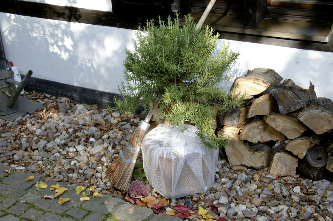 Floraworld Luftpolsterfolie, 0,5 x 5 m Floraworld Luftpolsterfolie, 0,5 x 5 m
