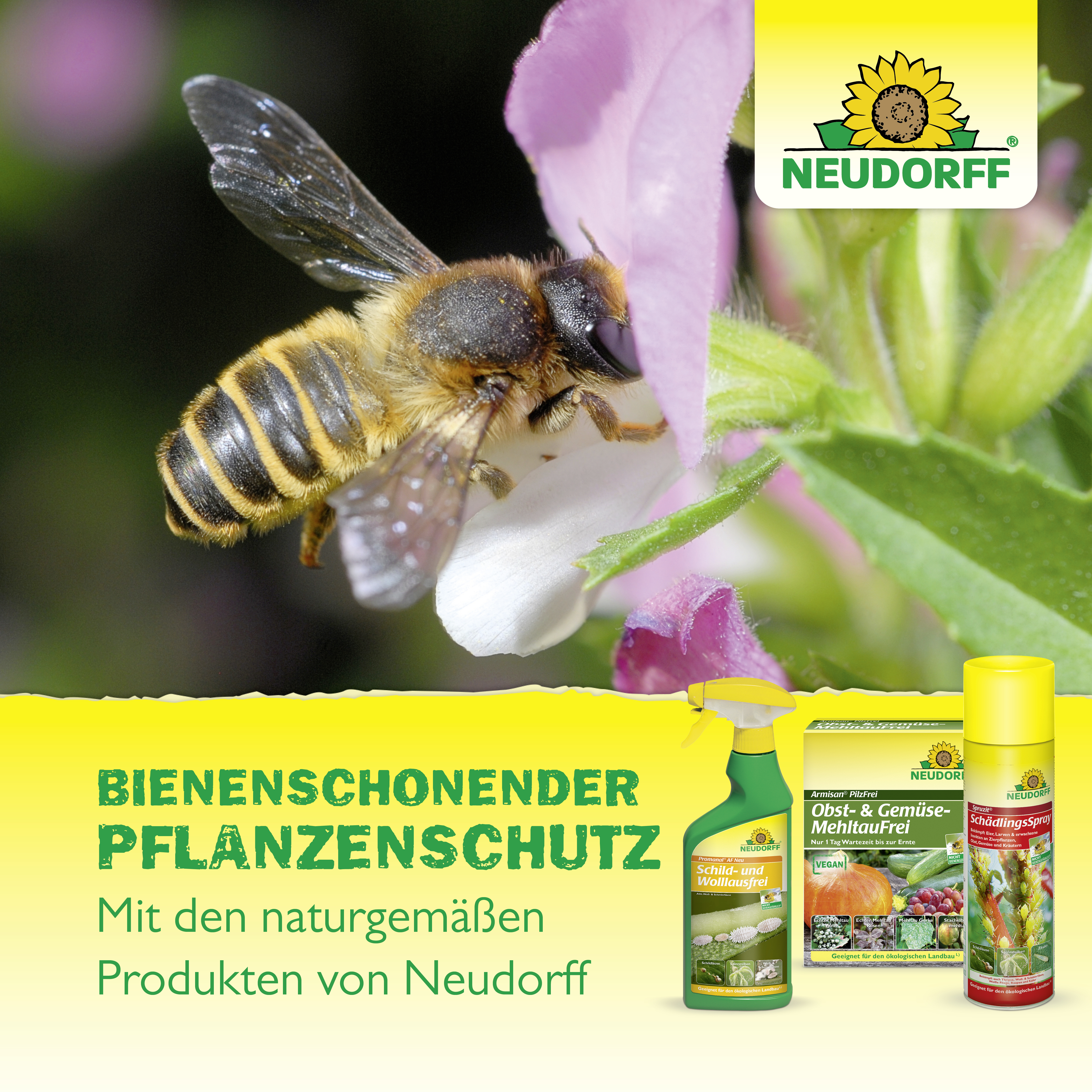 Neudorff Neudosan AF Neu Blattlausfrei, 250 ml