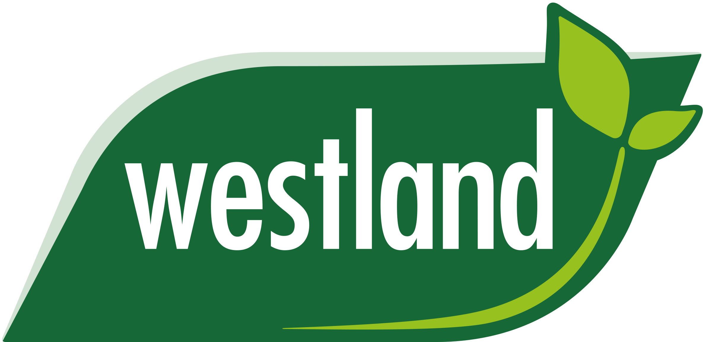 Westland Westland