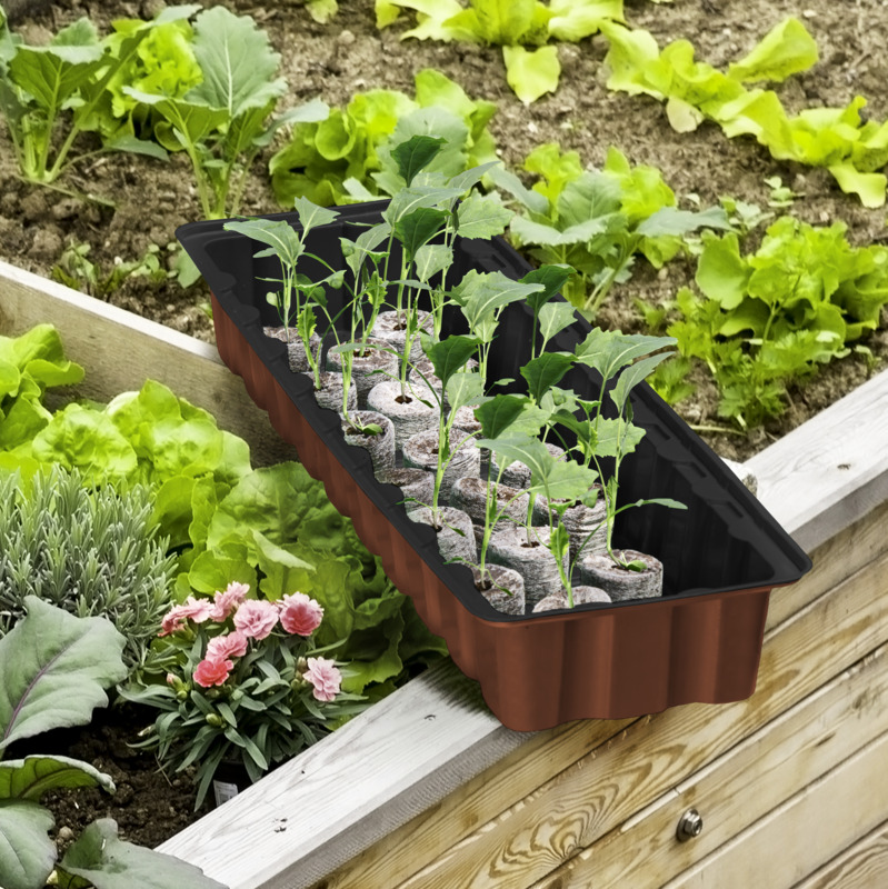 Windhager Fensterbank-Treibhaus, 54,5 x 16,5 x 11 cm Windhager Fensterbank-Treibhaus, 54,5 x 16,5 x 11 cm