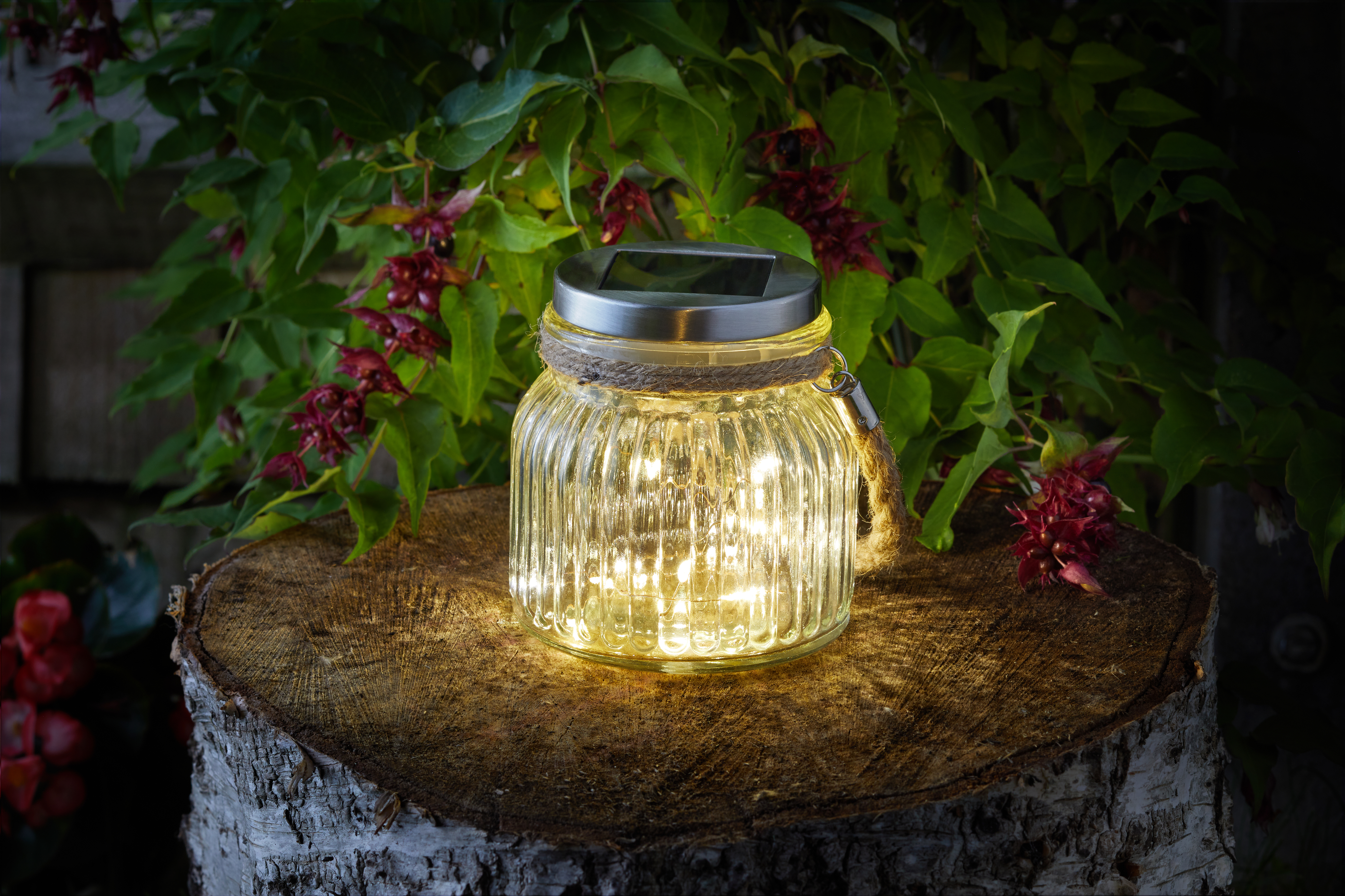Smart Garden Laterne mit Glühwürmchenlichterkette Smart Garden Laterne mit Glühwürmchenlichterkette