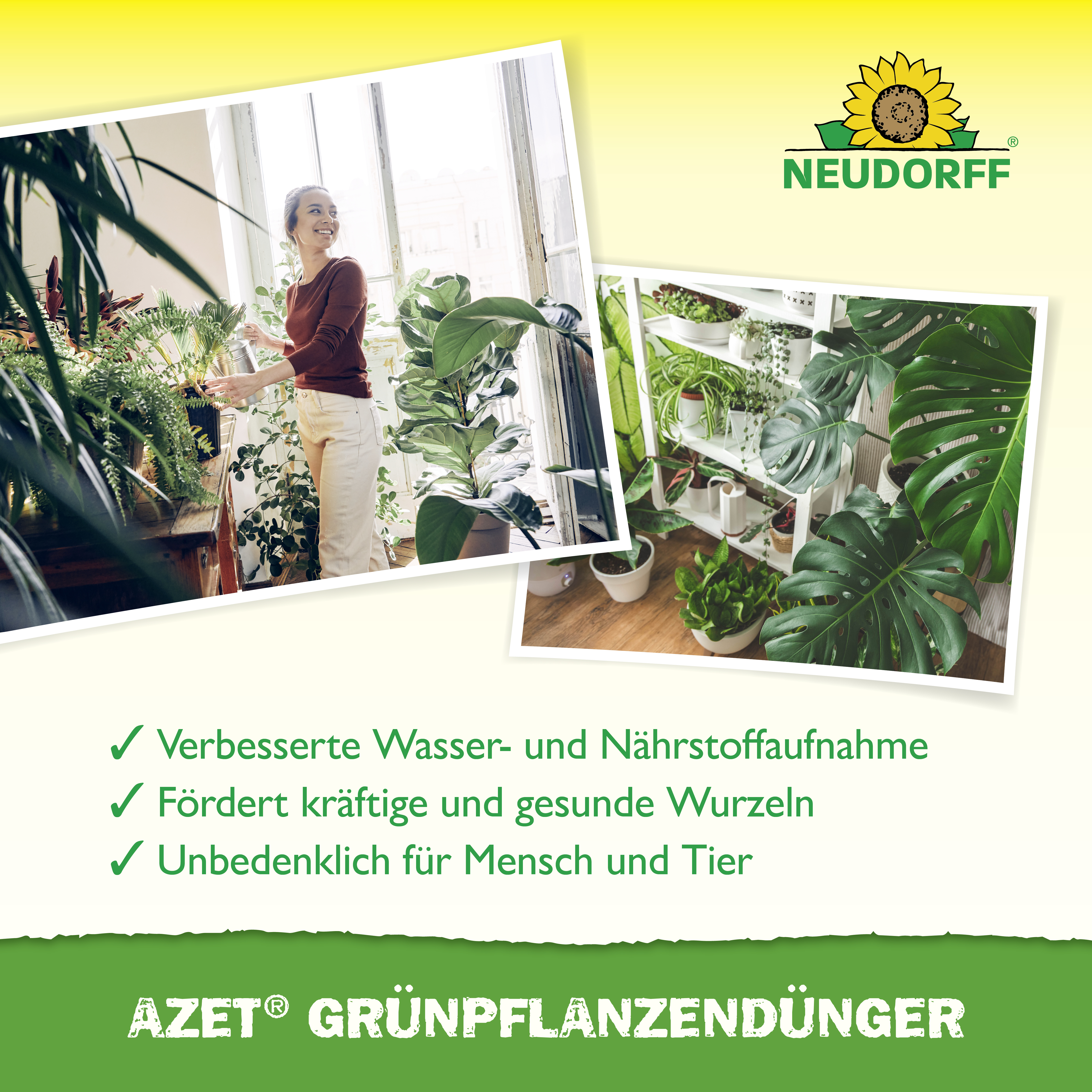 Neudorff Azet GrünpflanzenDünger flüssig