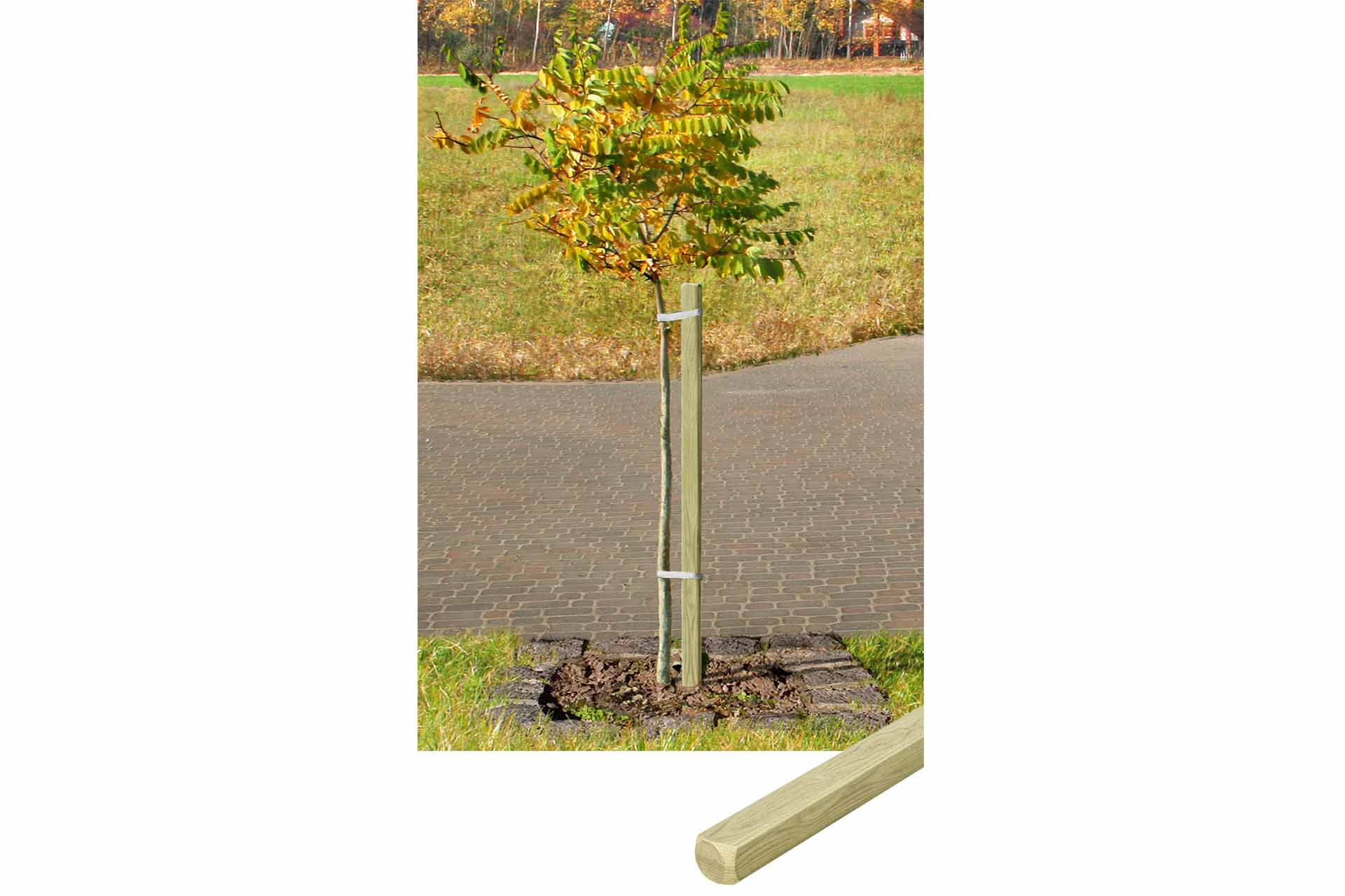 Delta Pflanzstab, vierkant, KDI grün, 3,2 x 3,2 x 120 cm Delta Pflanzstab, vierkant, KDI grün, 3,2 x 3,2 x 120 cm