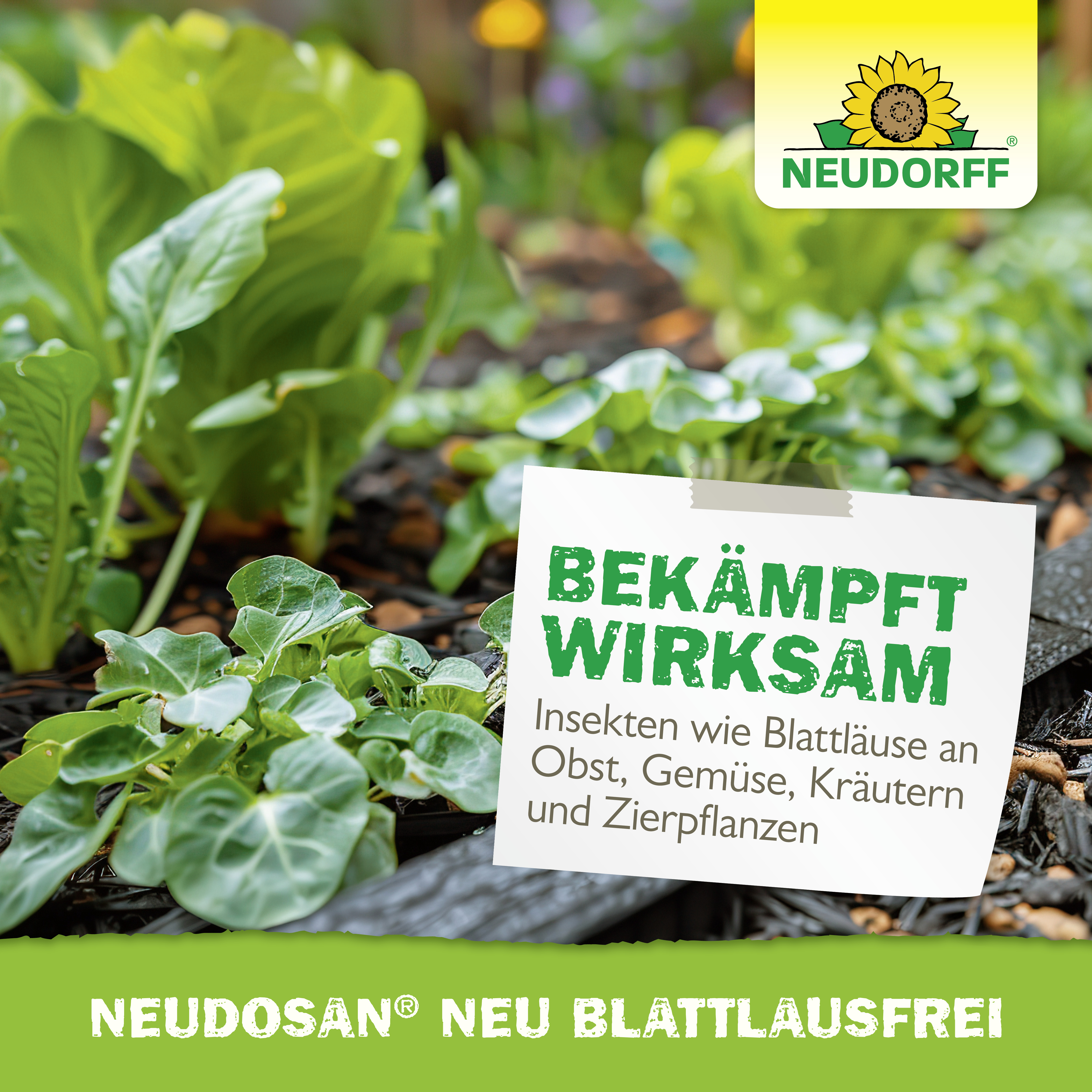 Neudorff Neudosan Neu Blattlausfrei, 500 ml