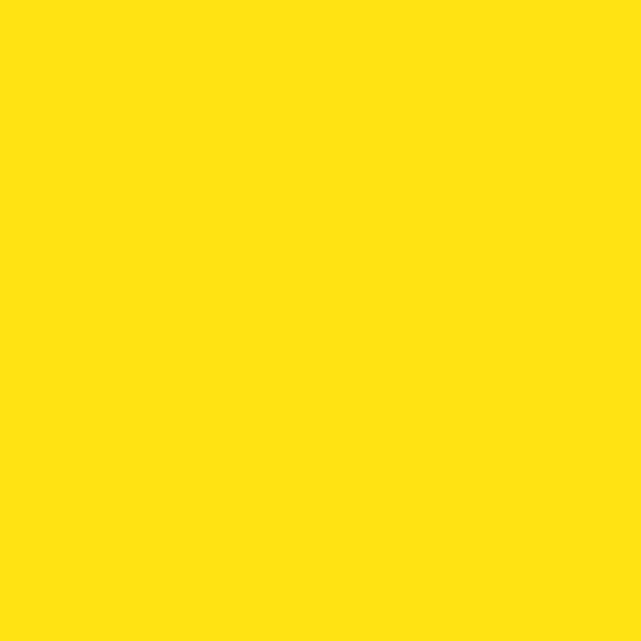Schöner Wohnen Mineral-Vollton- und Abtönfarbe, gelb