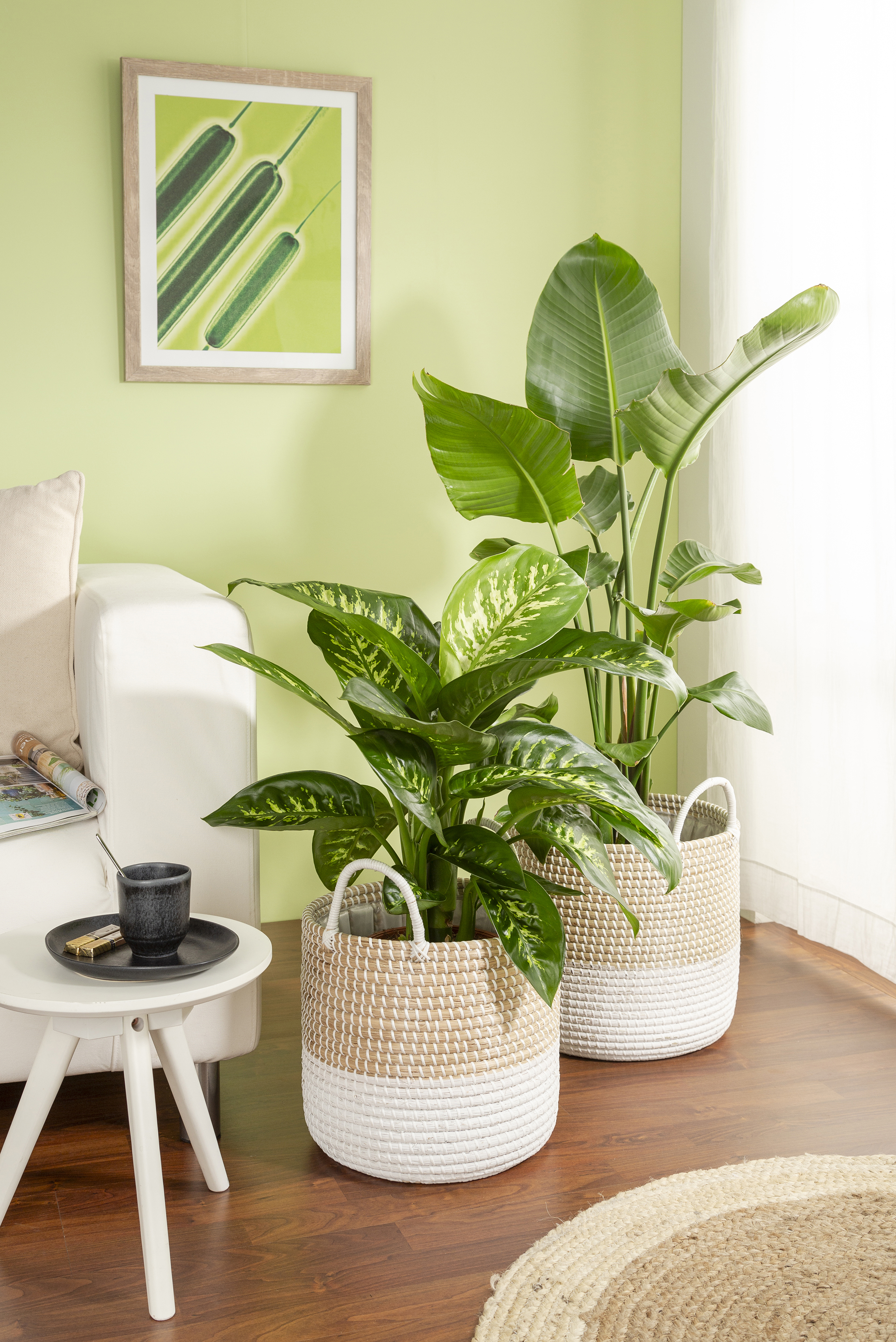 Scheurich Pflanzgefäß Nature White, ø 39 x h:34 cm Scheurich Pflanzgefäß Nature White, ø 39 x h:34 cm